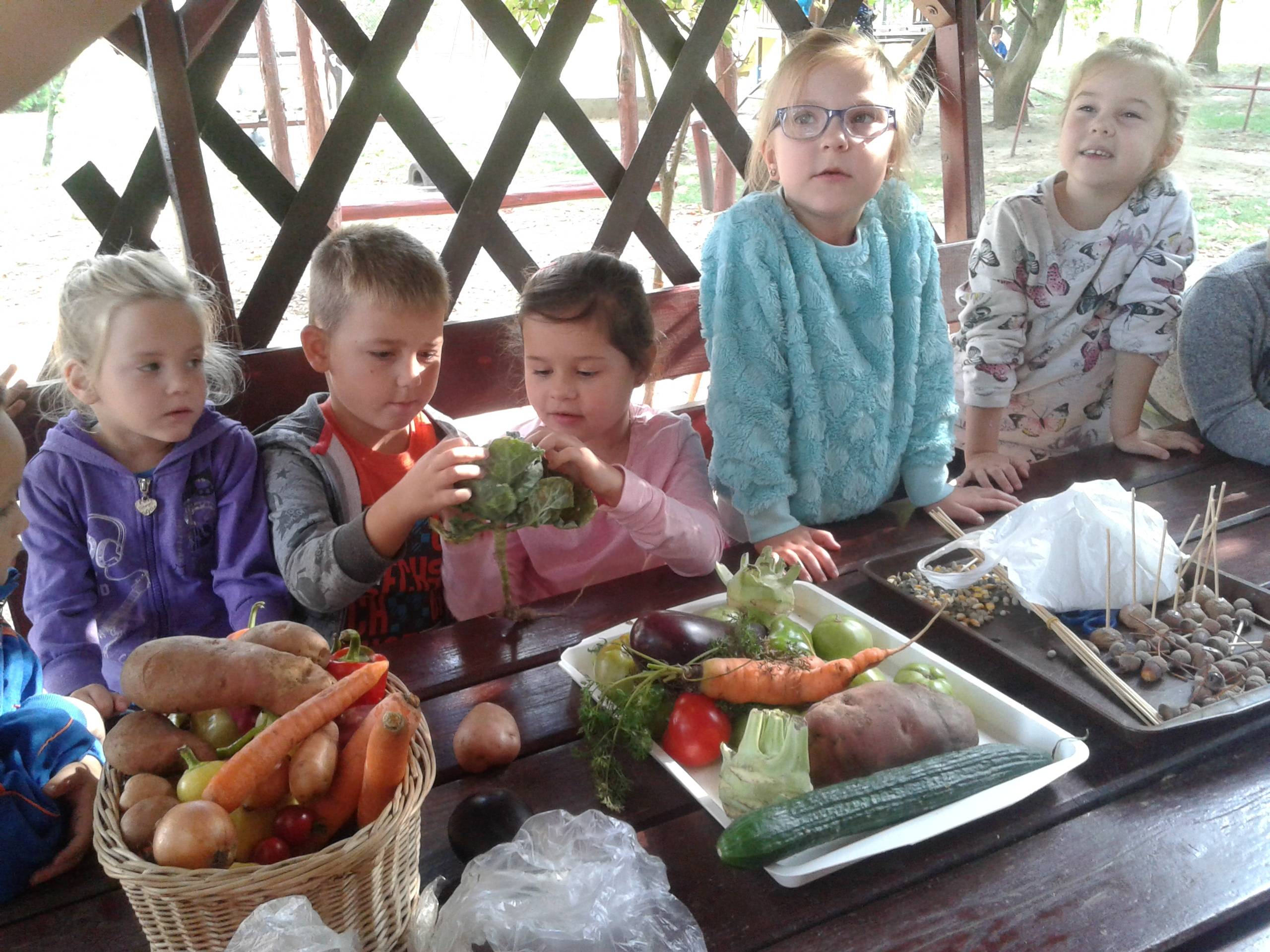 20180919_095631.jpg 20180919_095631.jpg