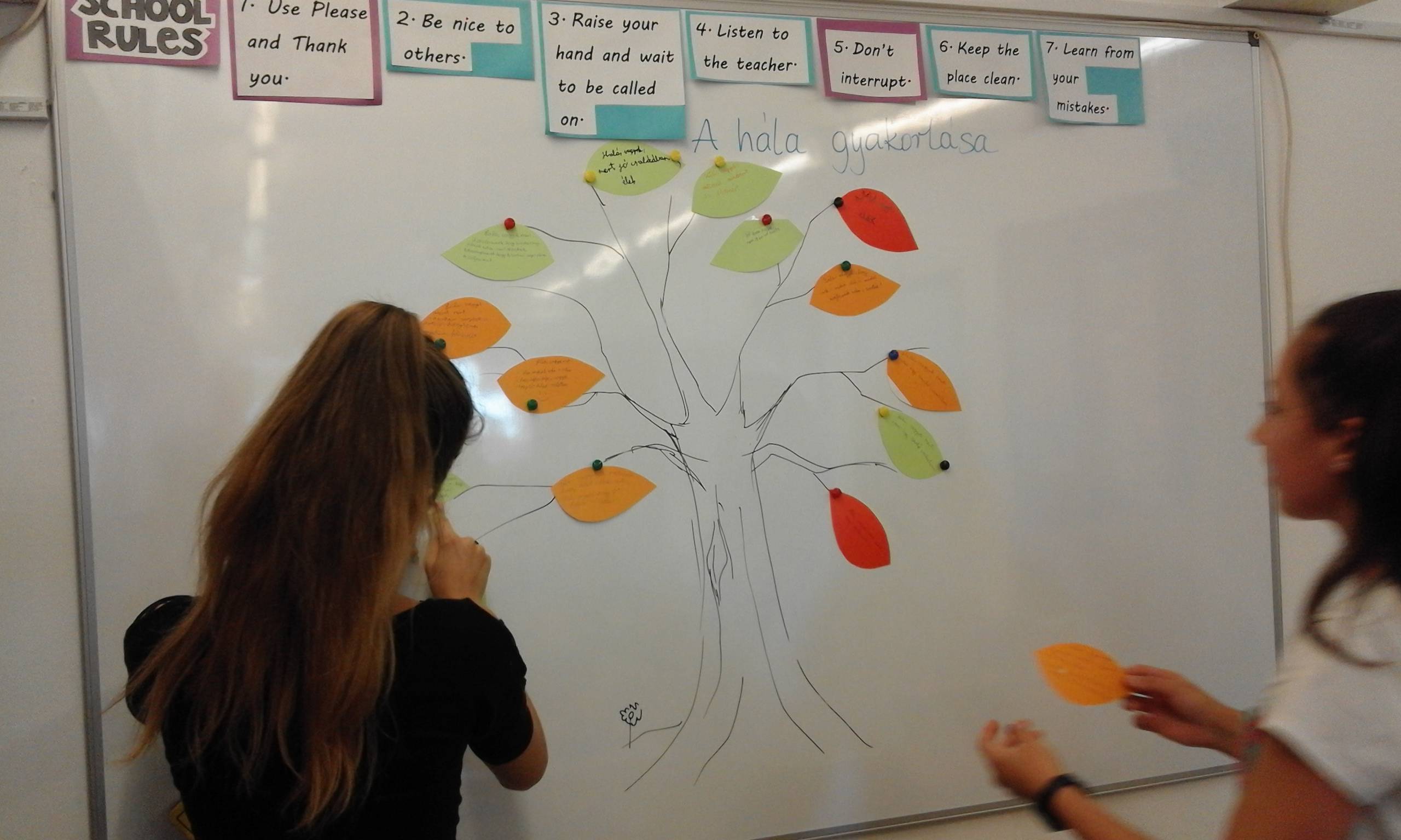 20181004_1228061.jpg 20181004_1228061.jpg