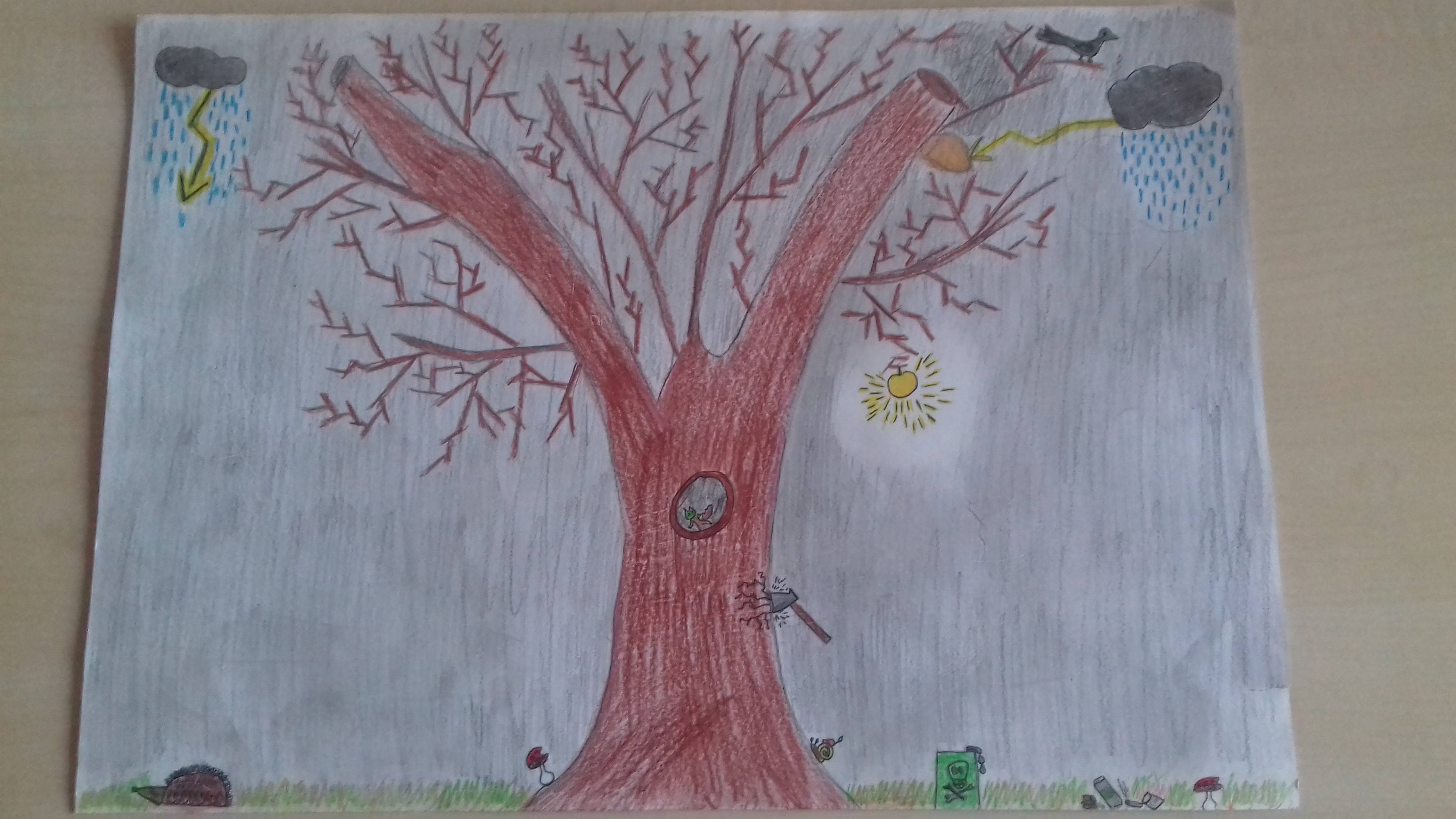 20181026_164200.jpg 20181026_164200.jpg