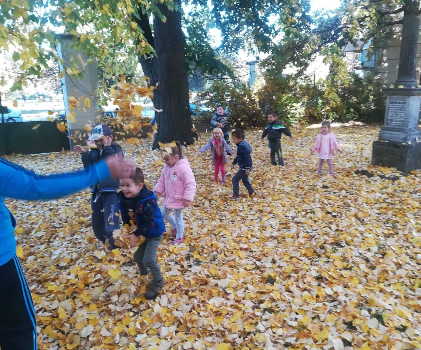 20181031_220832.jpg