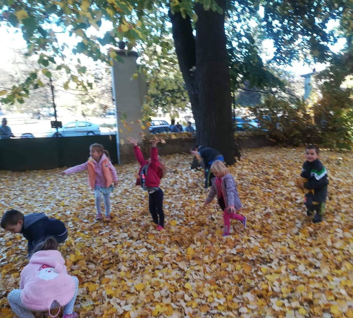 20181031_220900.jpg