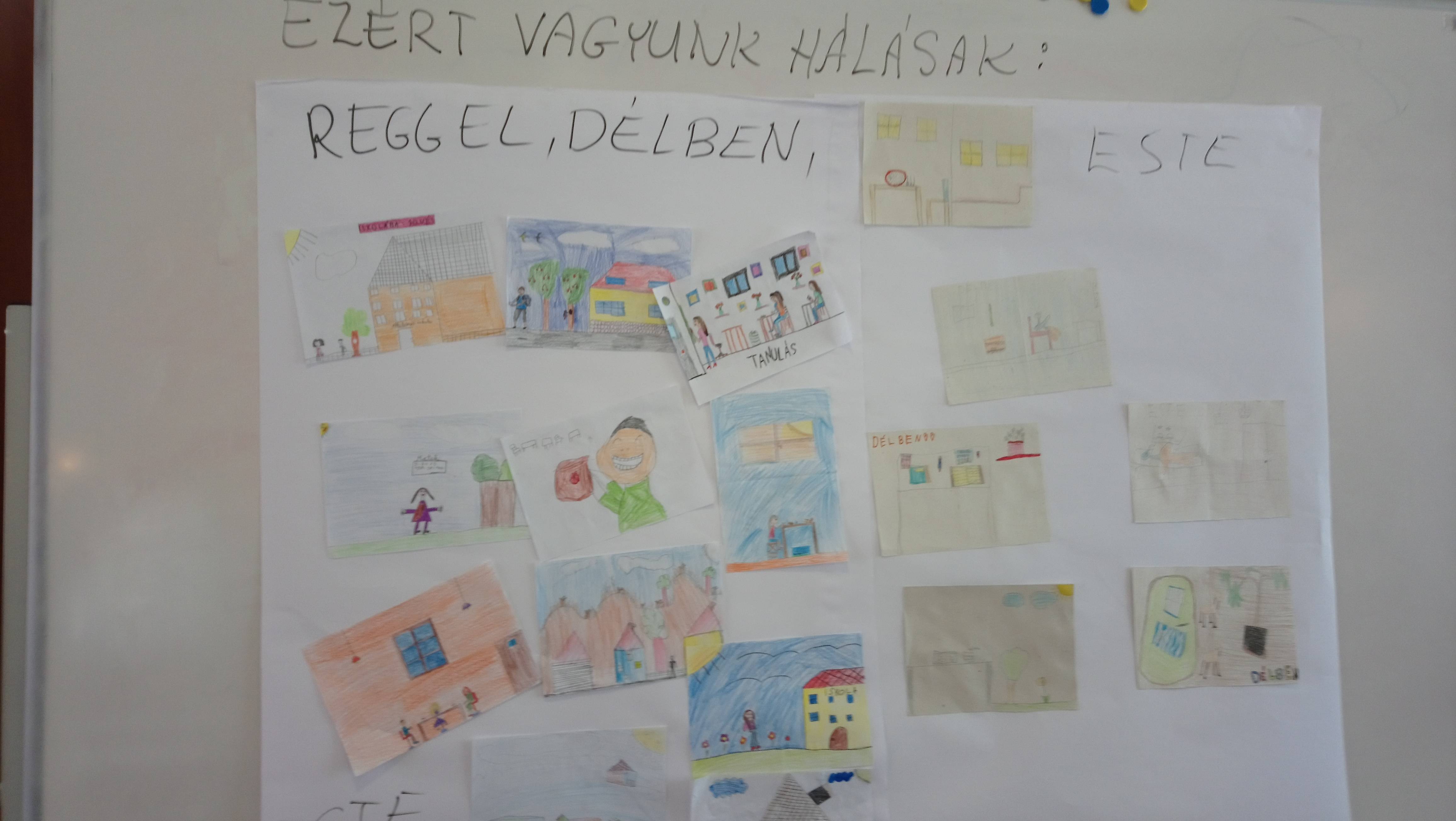 DSC_3313.jpg DSC_3313.jpg