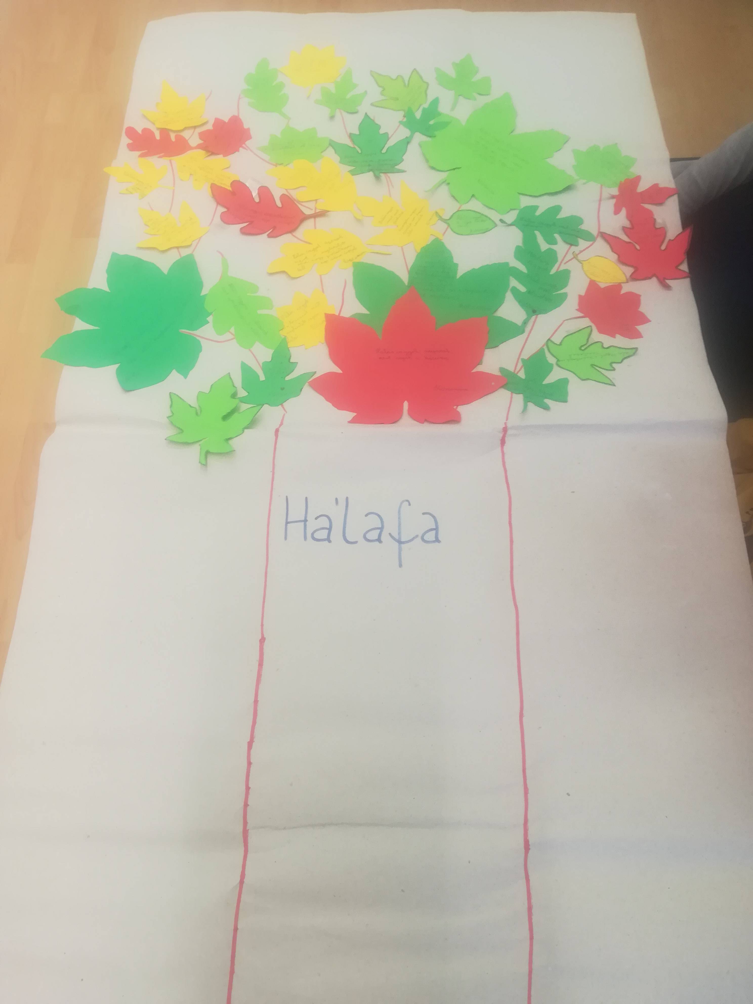 IMG_20181001_115841-2.jpg IMG_20181001_115841-2.jpg