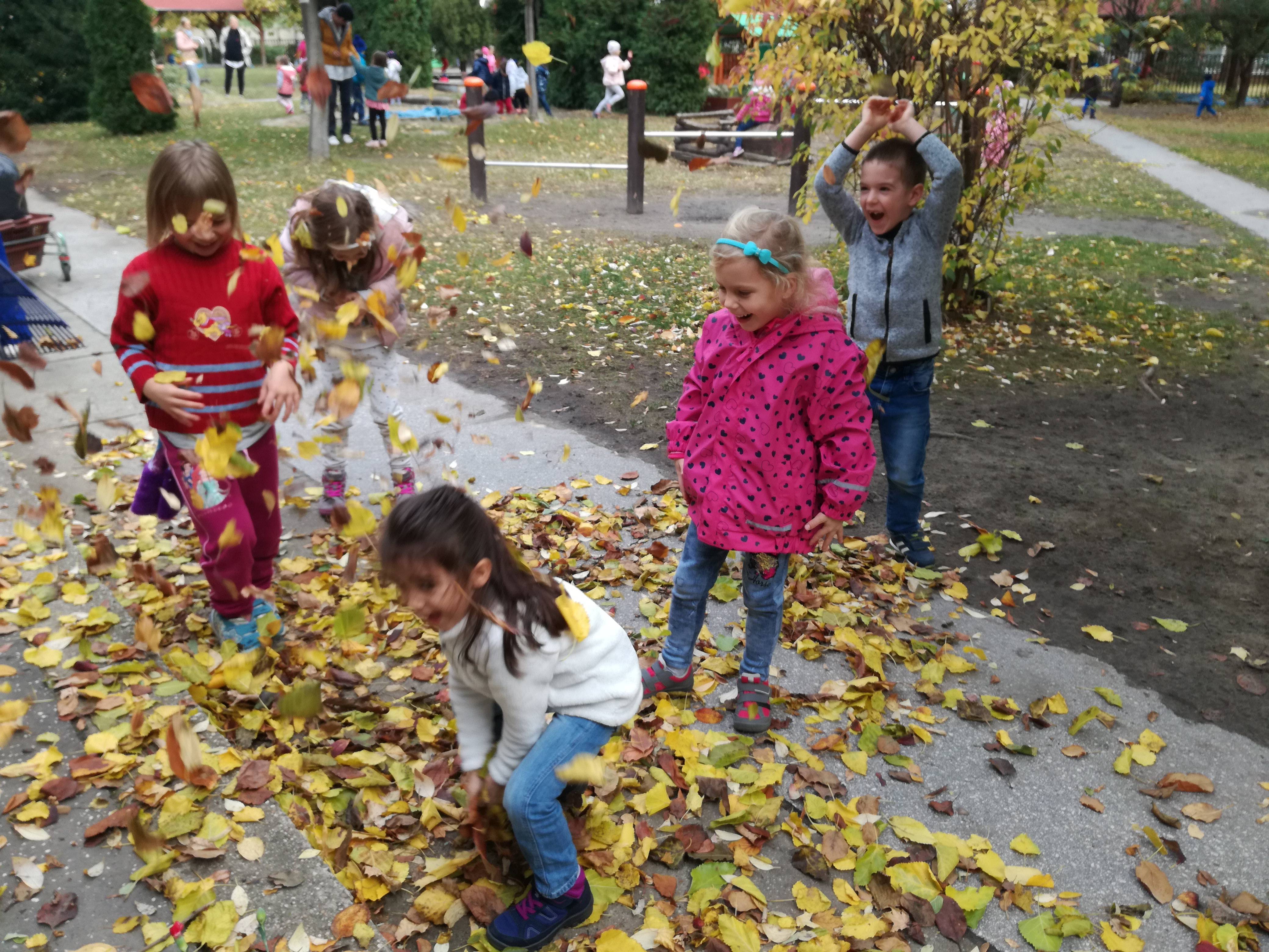 IMG_20181026_112013.jpg