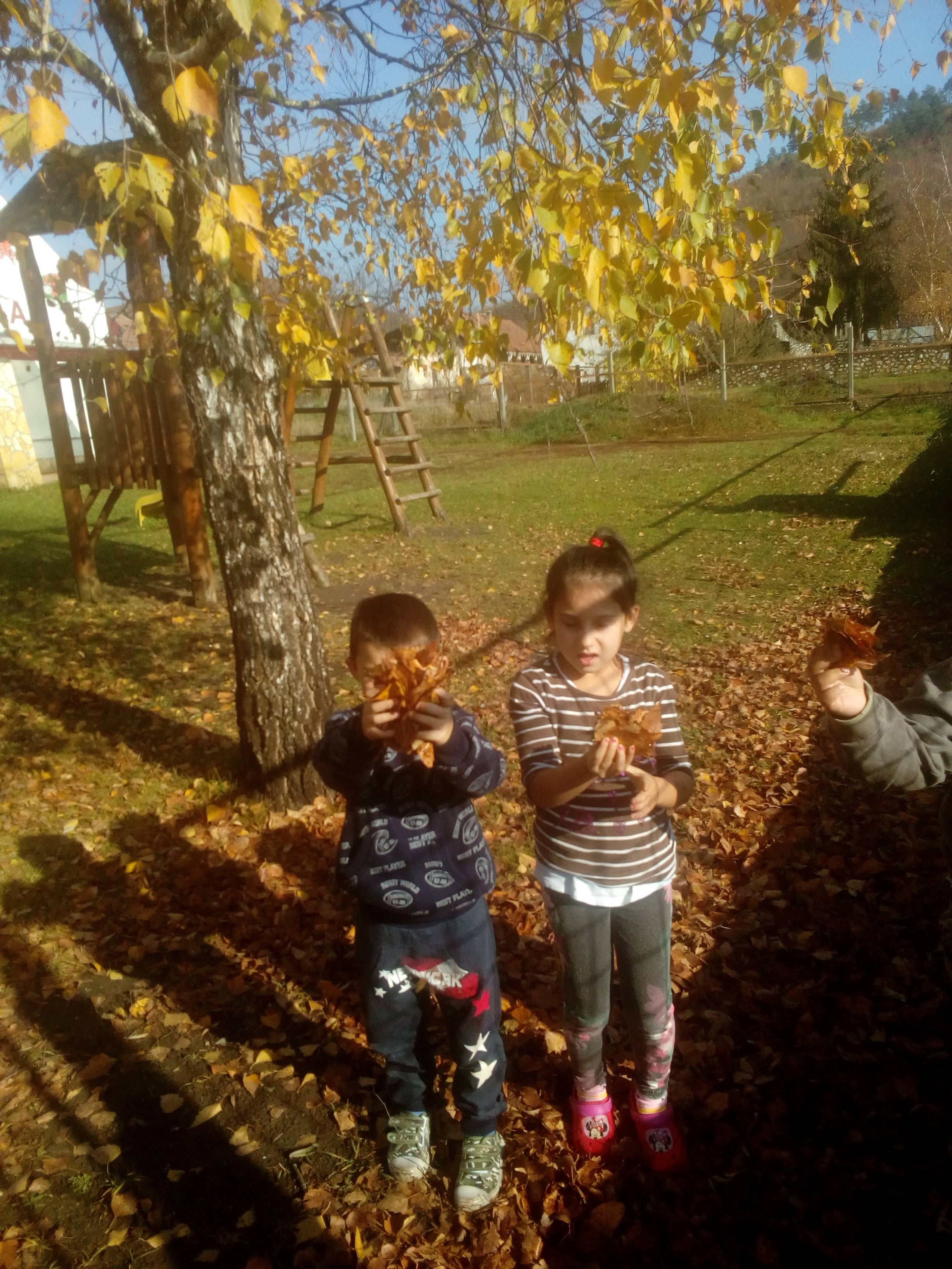 IMG_20181029_101319.jpg IMG_20181029_101319.jpg