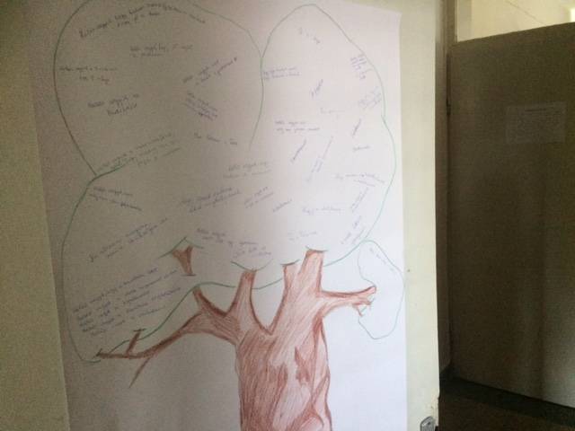 IMG_3334.jpg IMG_3334.jpg