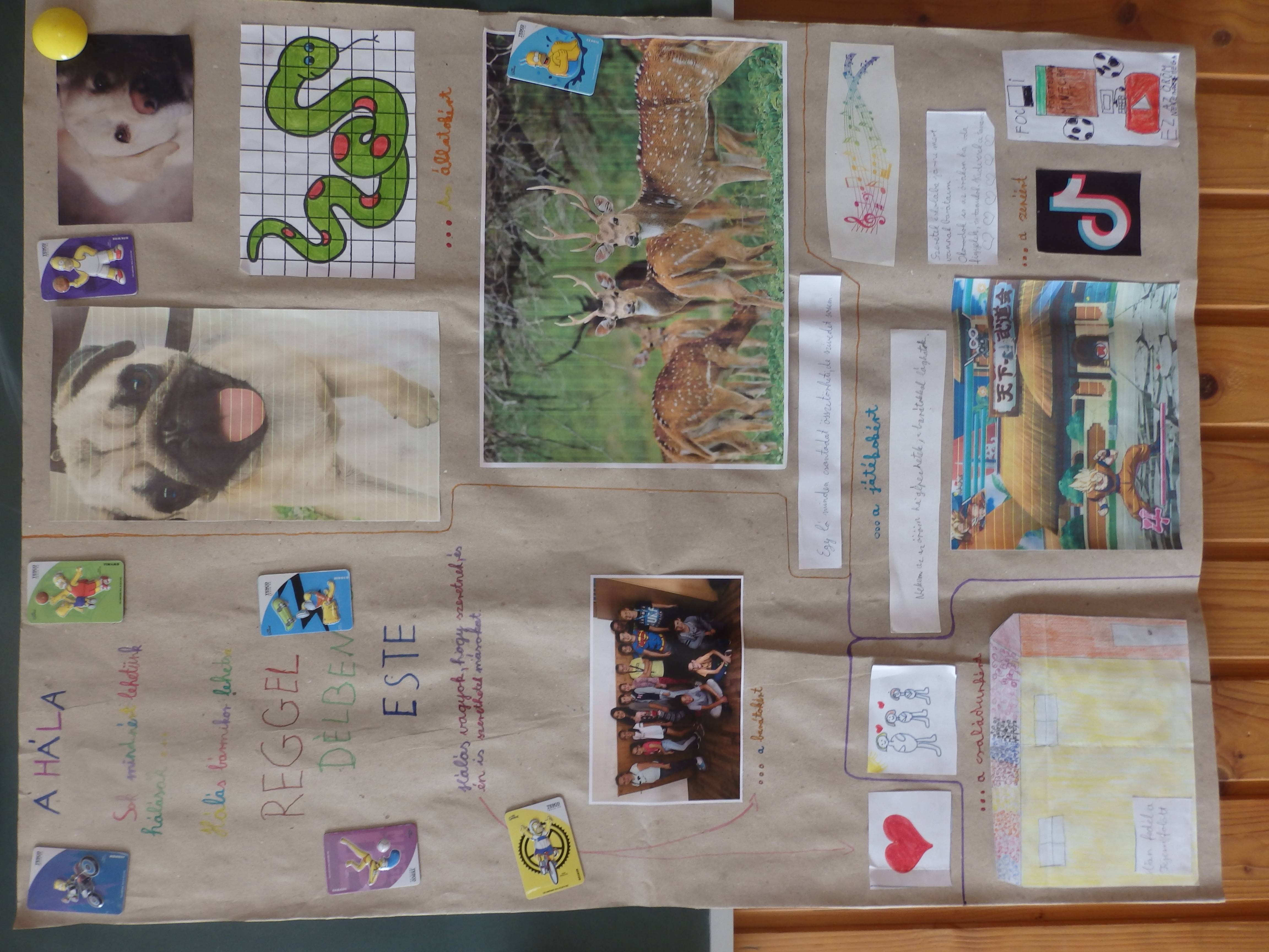 PA090006.jpg PA090006.jpg