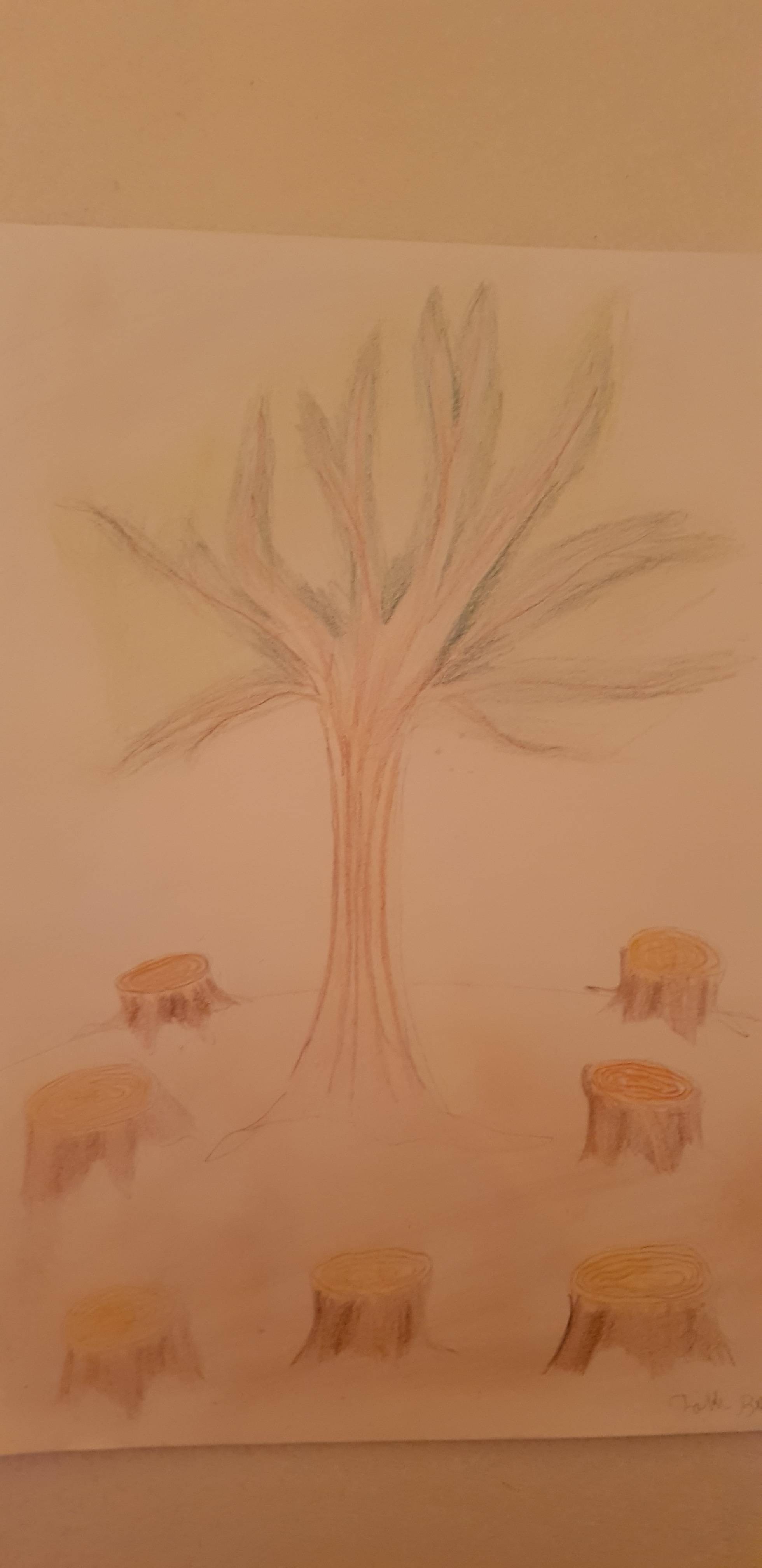 kép4.jpg kép4.jpg