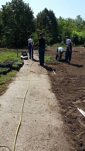 20180910_113844.jpg 20180910_113844.jpg