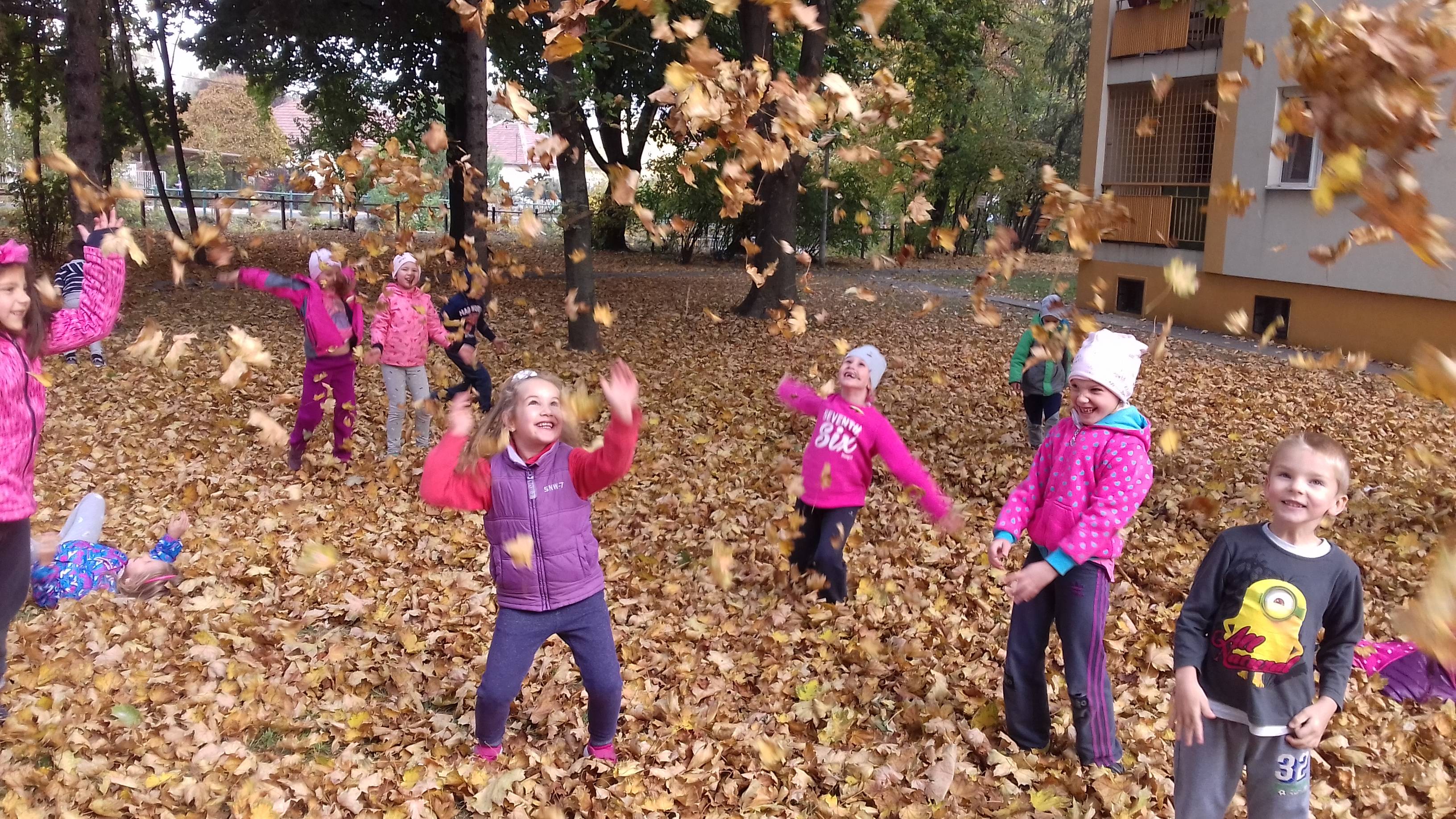 20181019_110537.jpg