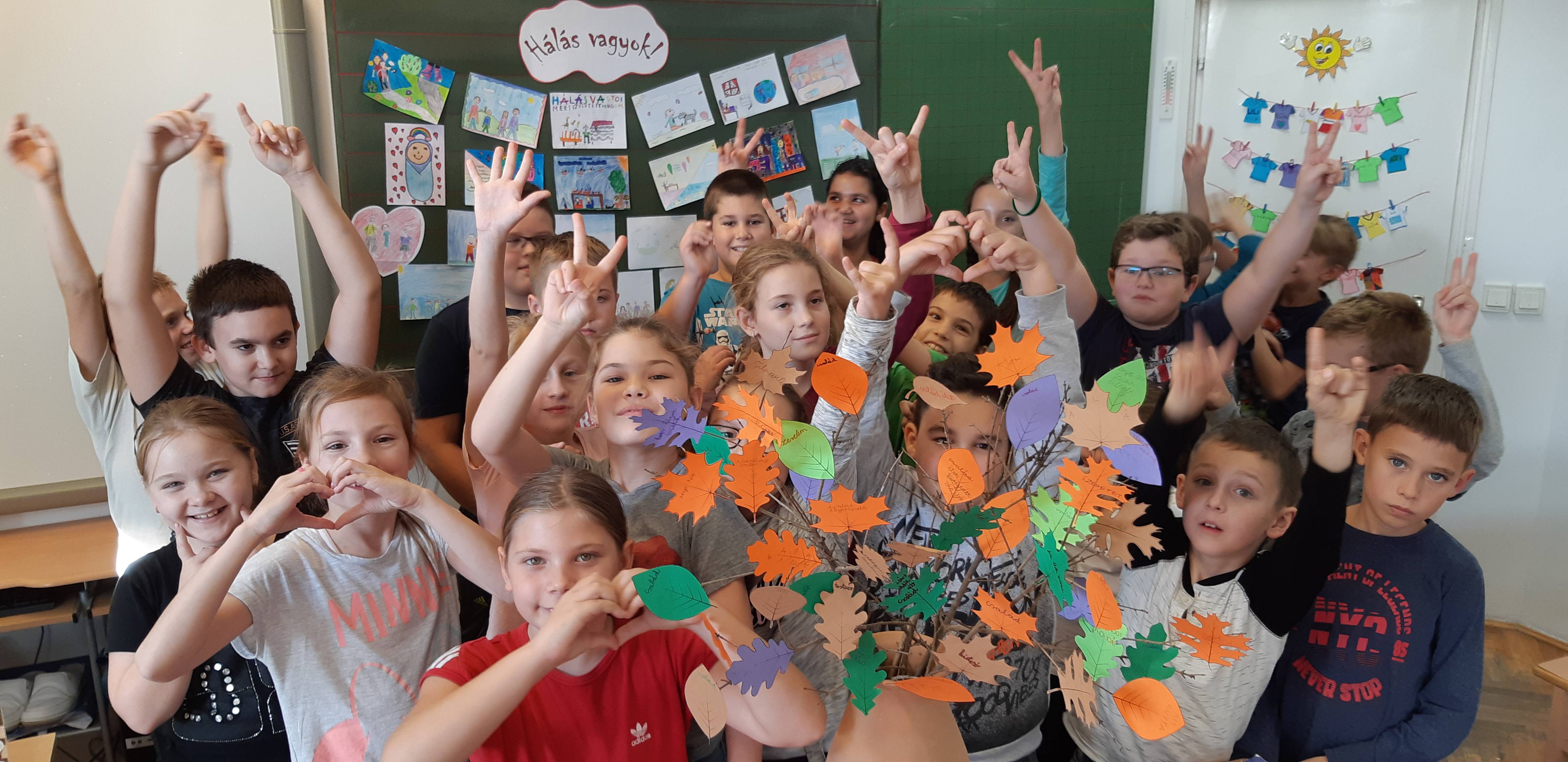 20181026_114242.jpg 20181026_114242.jpg