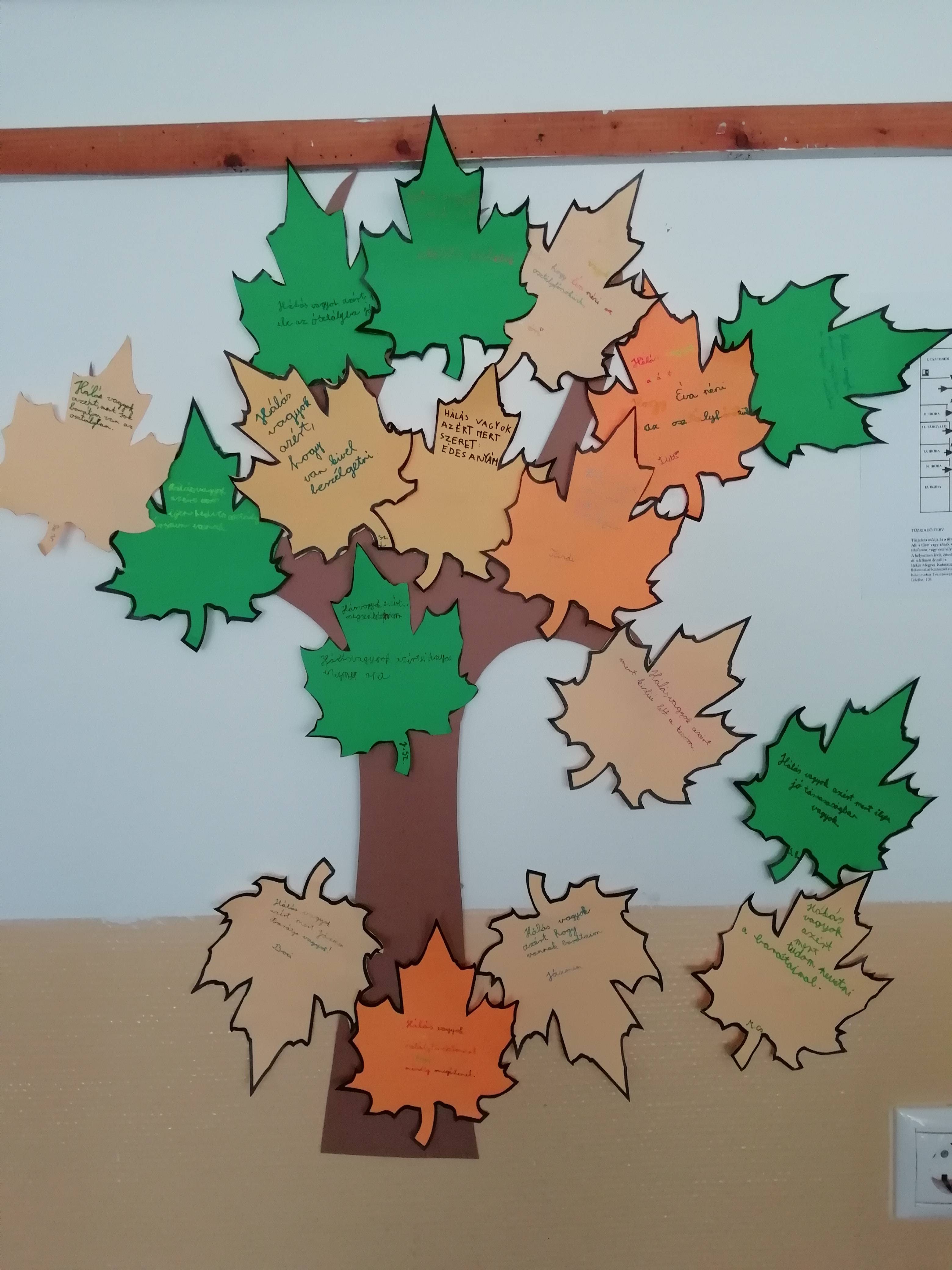 IMG_20181001_125229.jpg IMG_20181001_125229.jpg