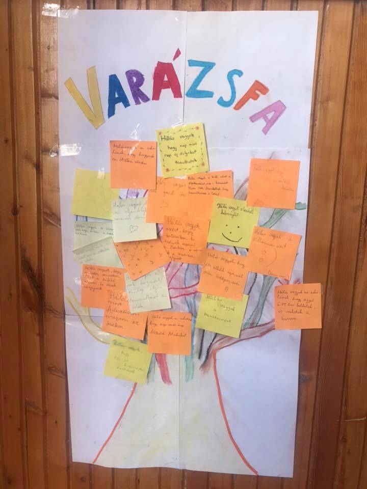 kész_hálafa.jpg kész_hálafa.jpg