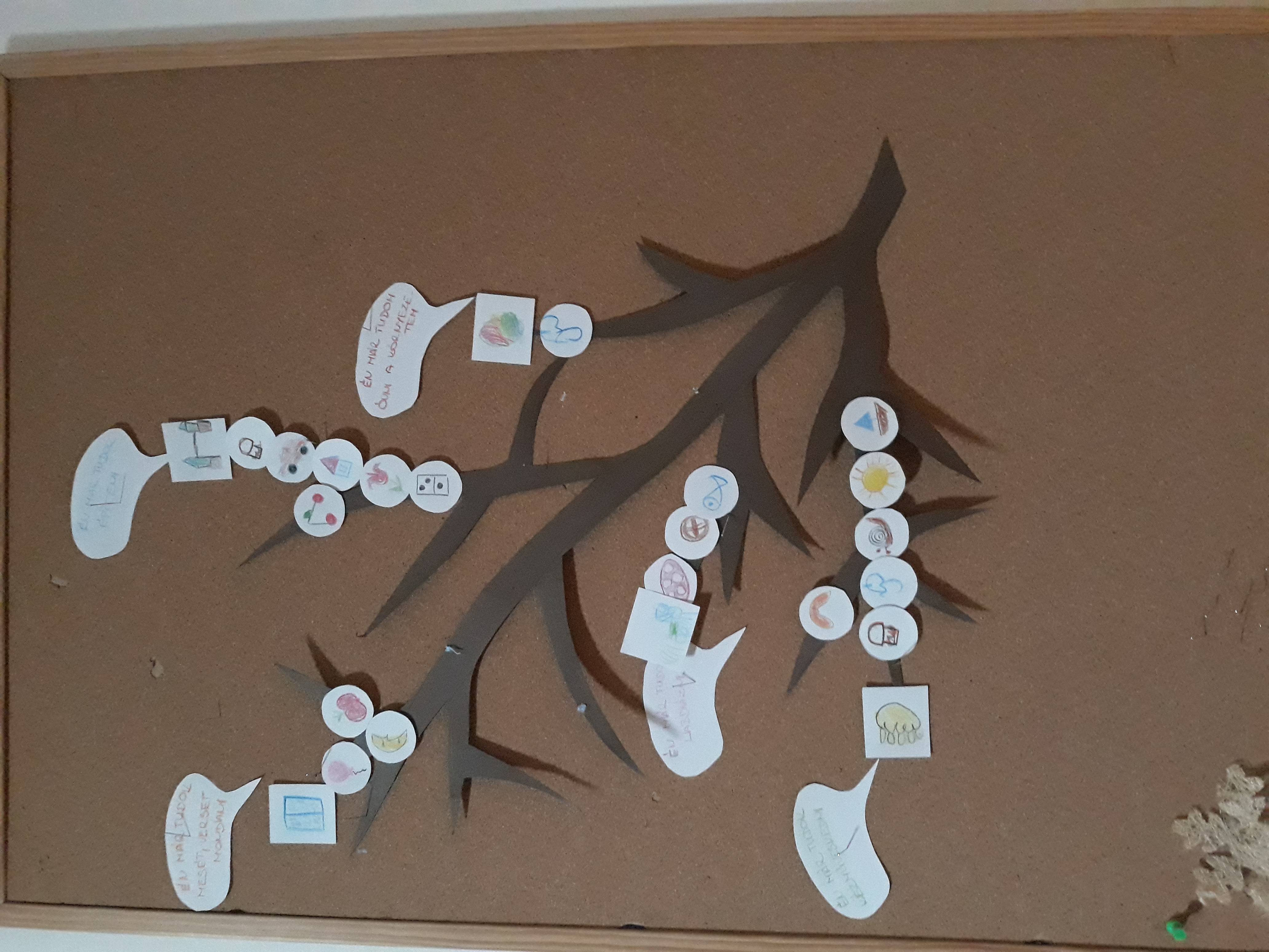 20181207_130037.jpg