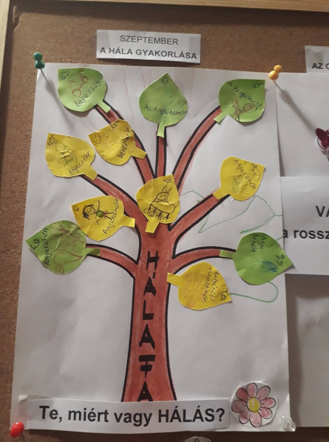 48894174_351073305446430_2950963890395021312_n.jpg 48894174_351073305446430_2950963890395021312_n.jpg