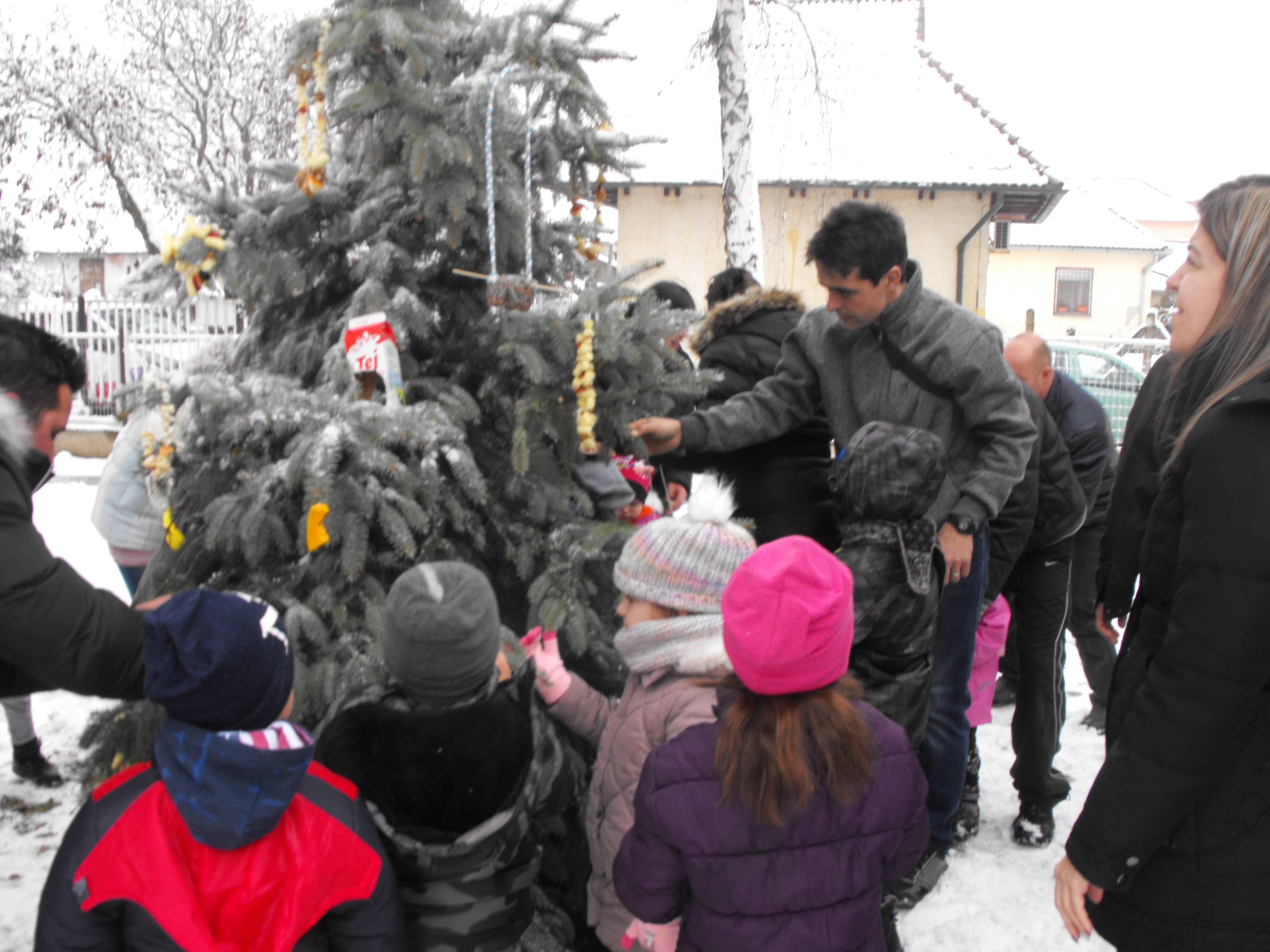 DSCF4129.jpg
