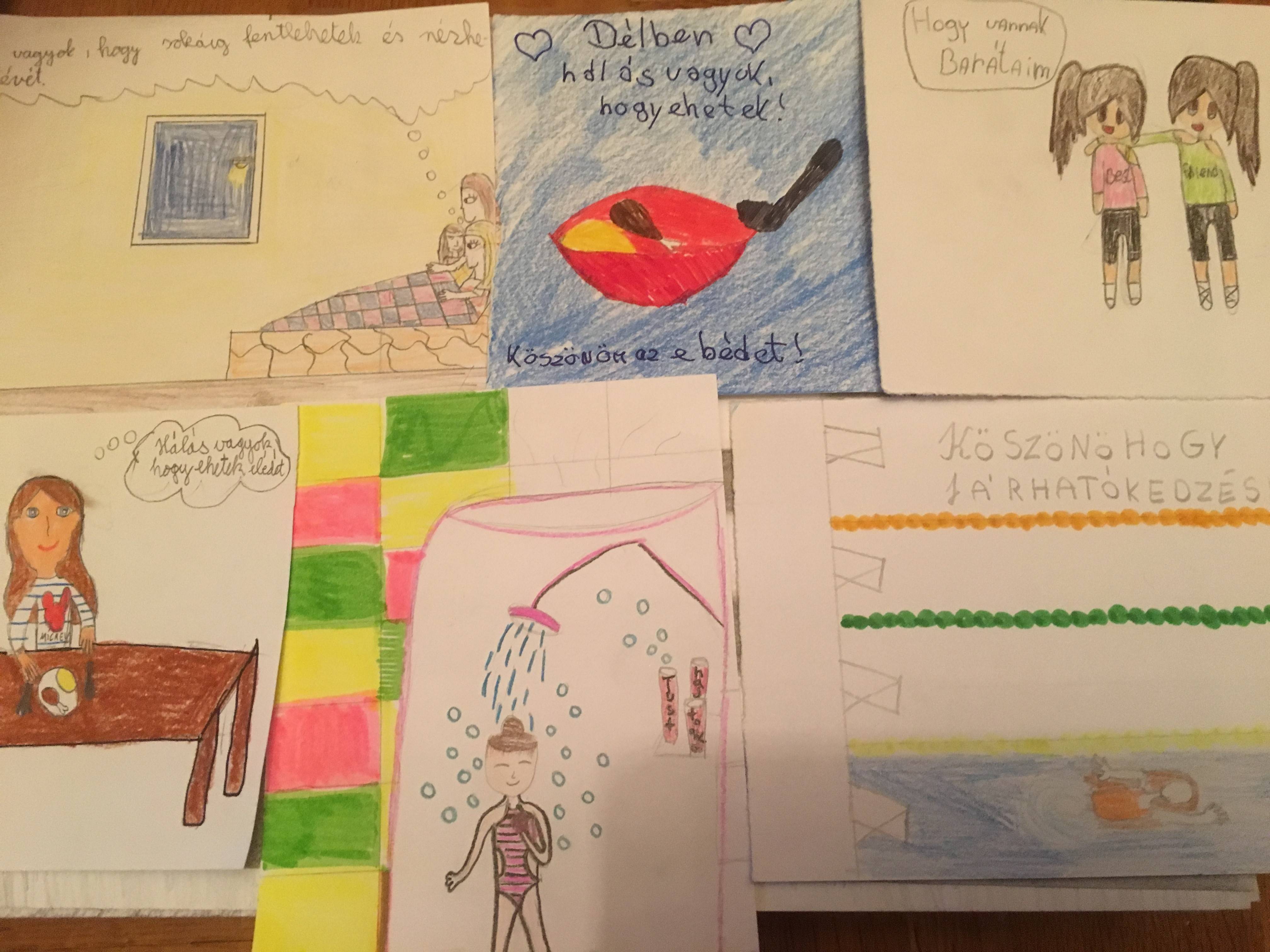 IMG_0781.jpg IMG_0781.jpg