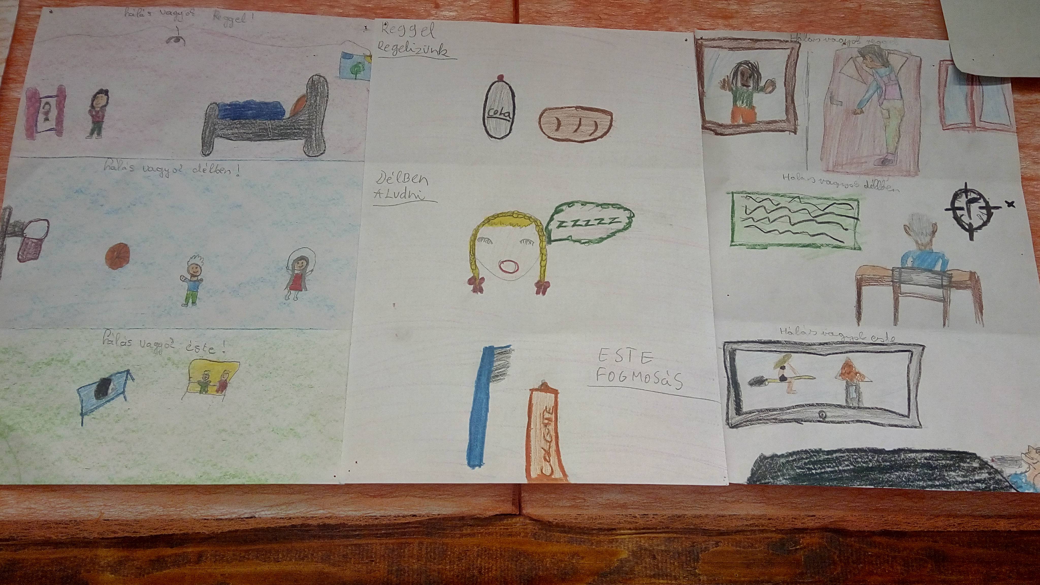 IMG_20181113_080313.jpg IMG_20181113_080313.jpg