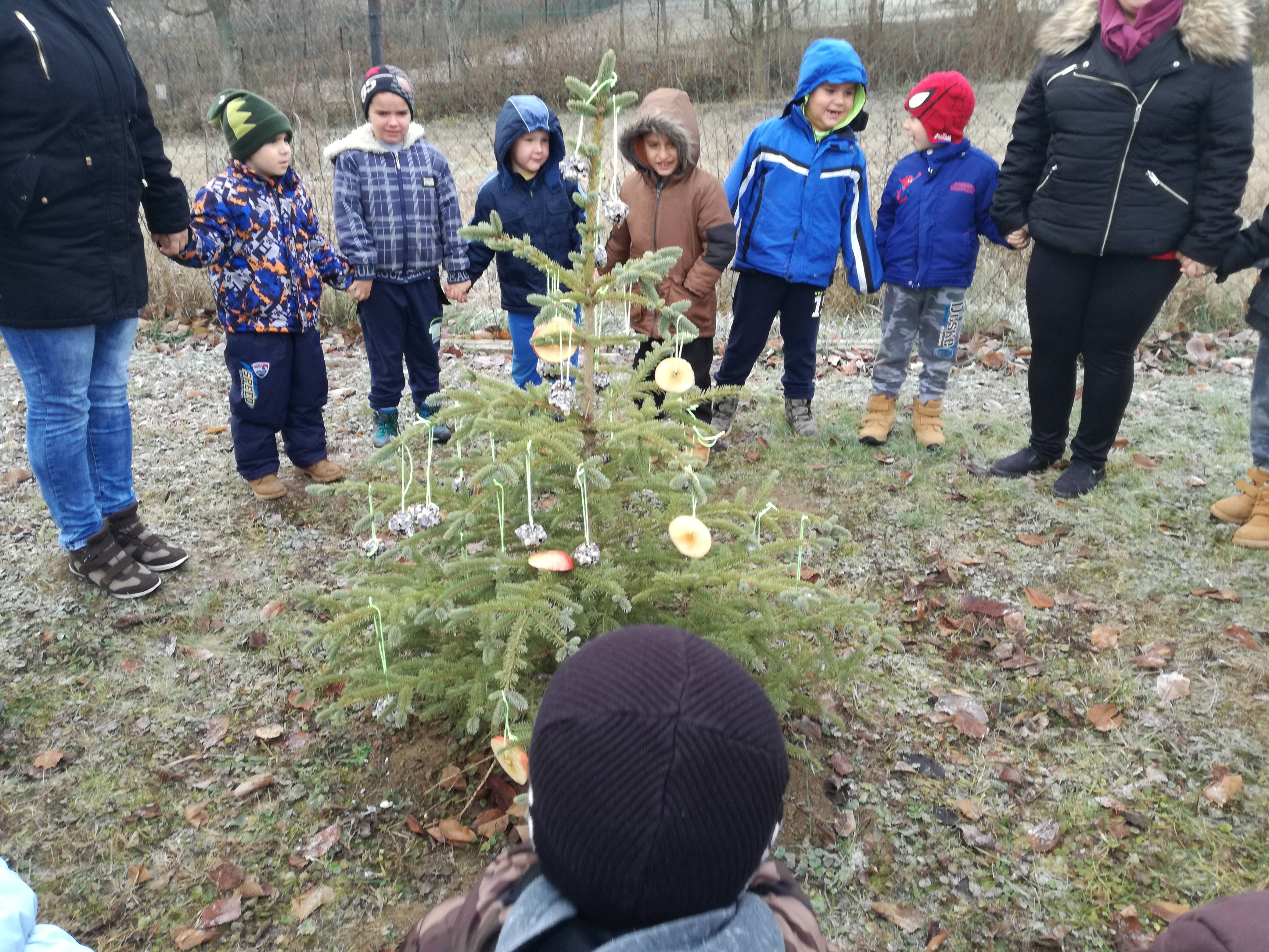 IMG_20181214_103713.jpg IMG_20181214_103713.jpg