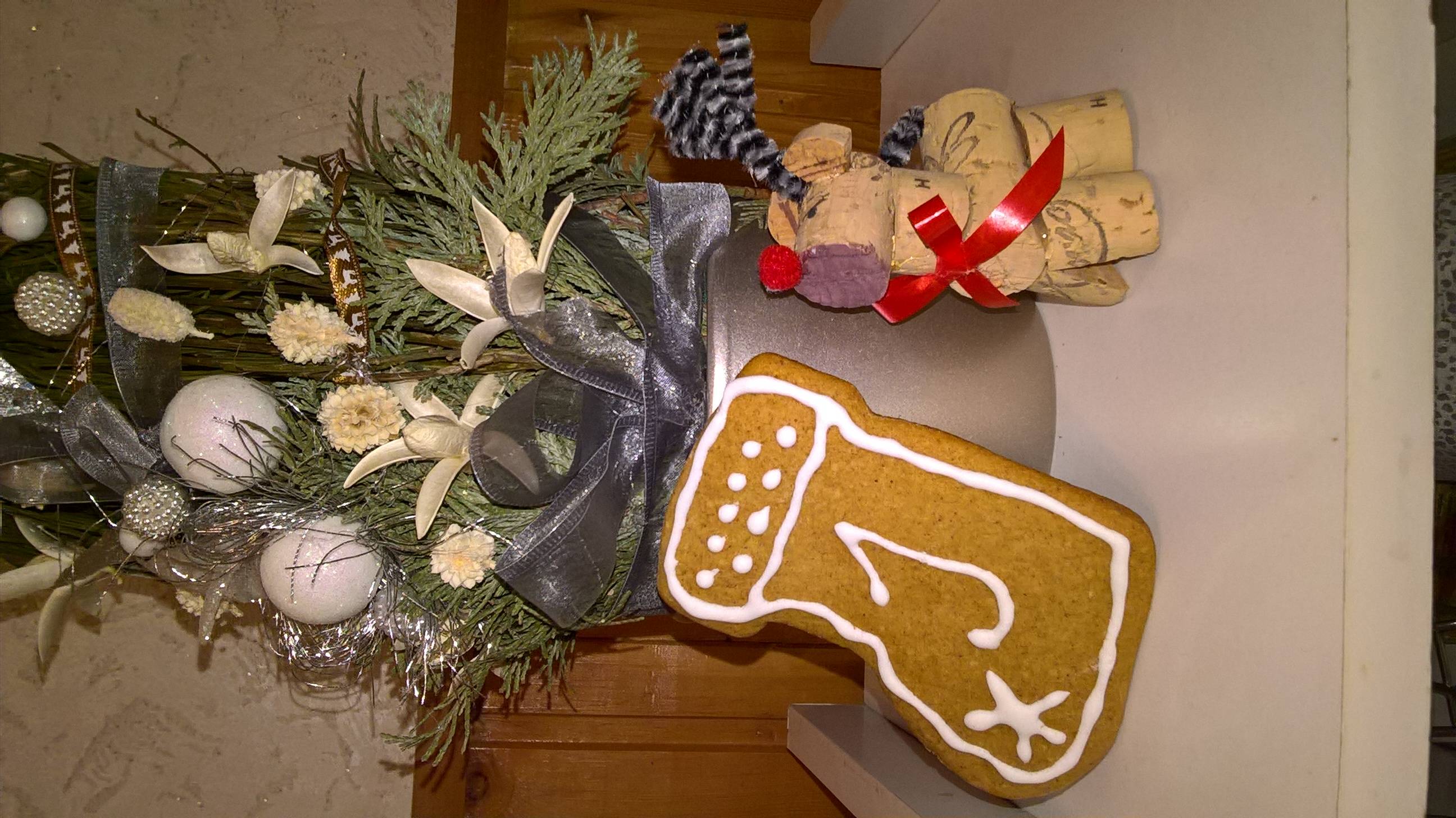WP_20181212_05_32_37_Pro.jpg