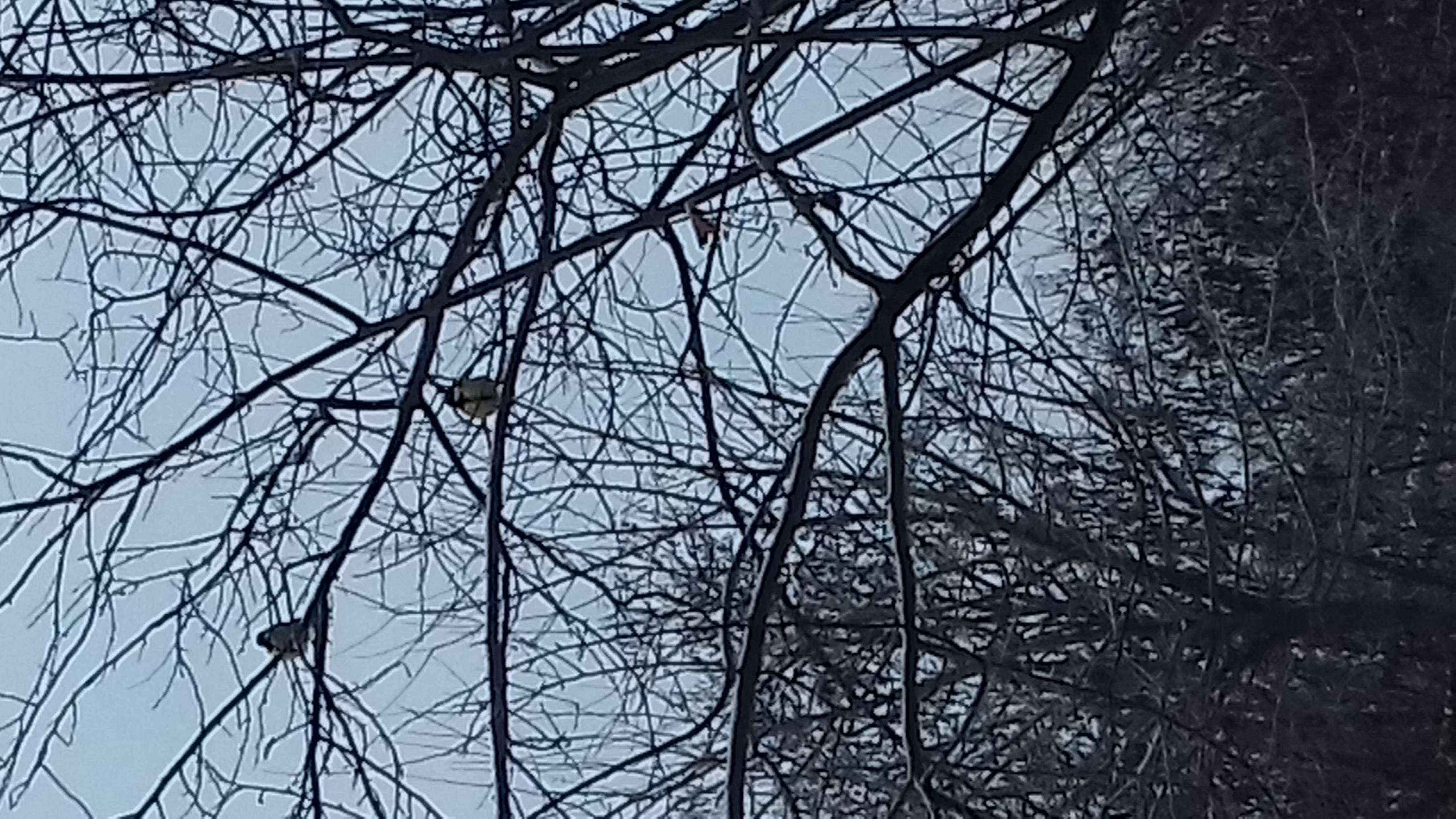 20190121_0814411.jpg