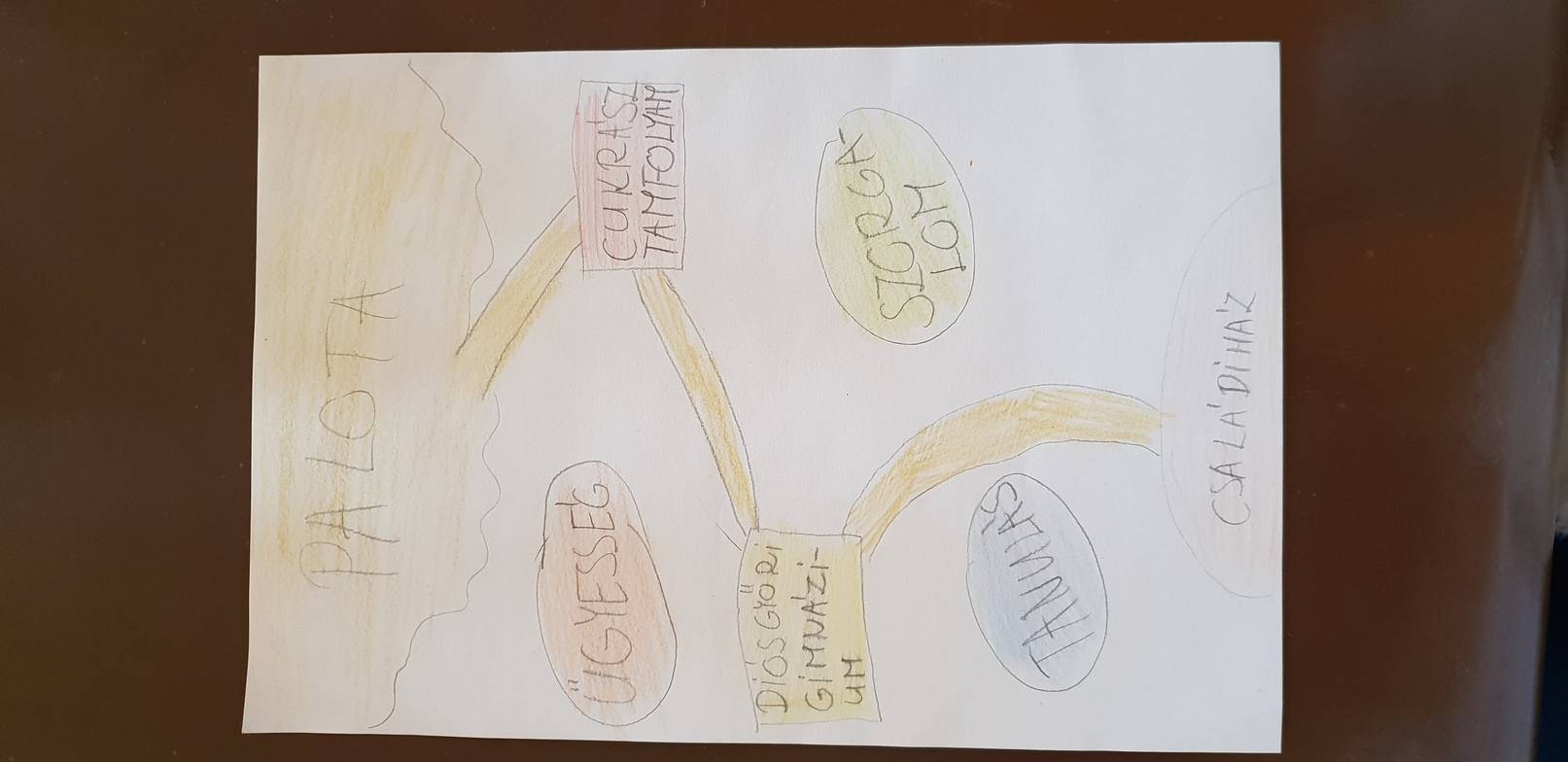 20190125_143124.jpg 20190125_143124.jpg