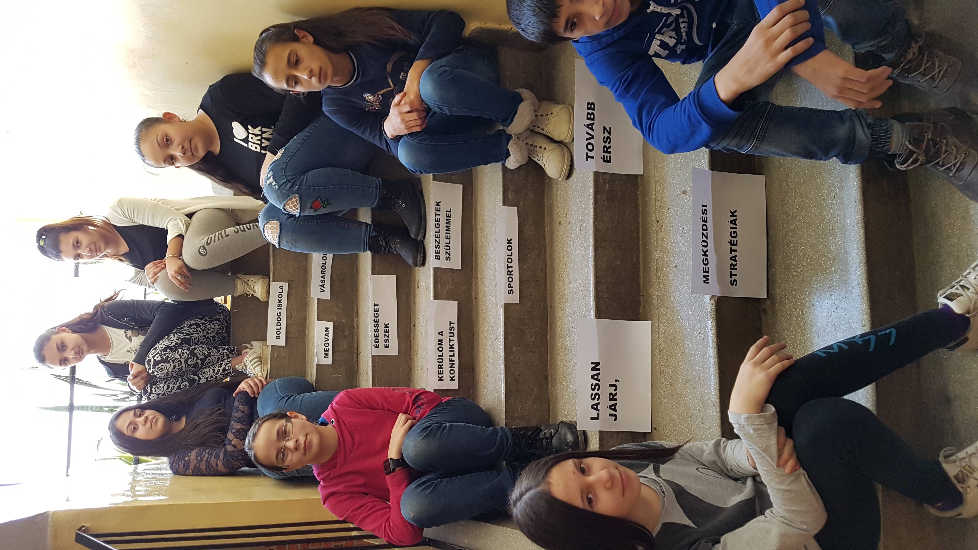 20190208_132328.jpg 20190208_132328.jpg