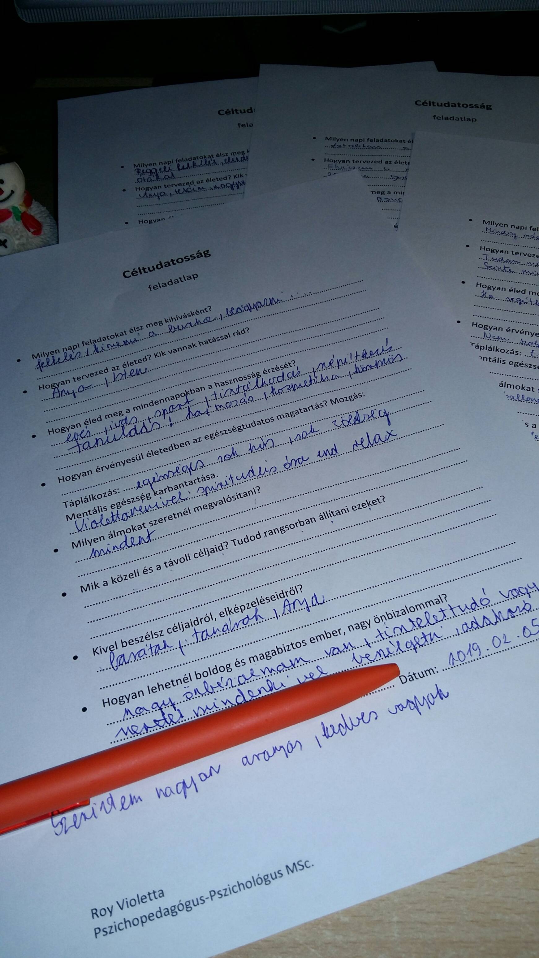 20190211_121759_resized.jpg 20190211_121759_resized.jpg