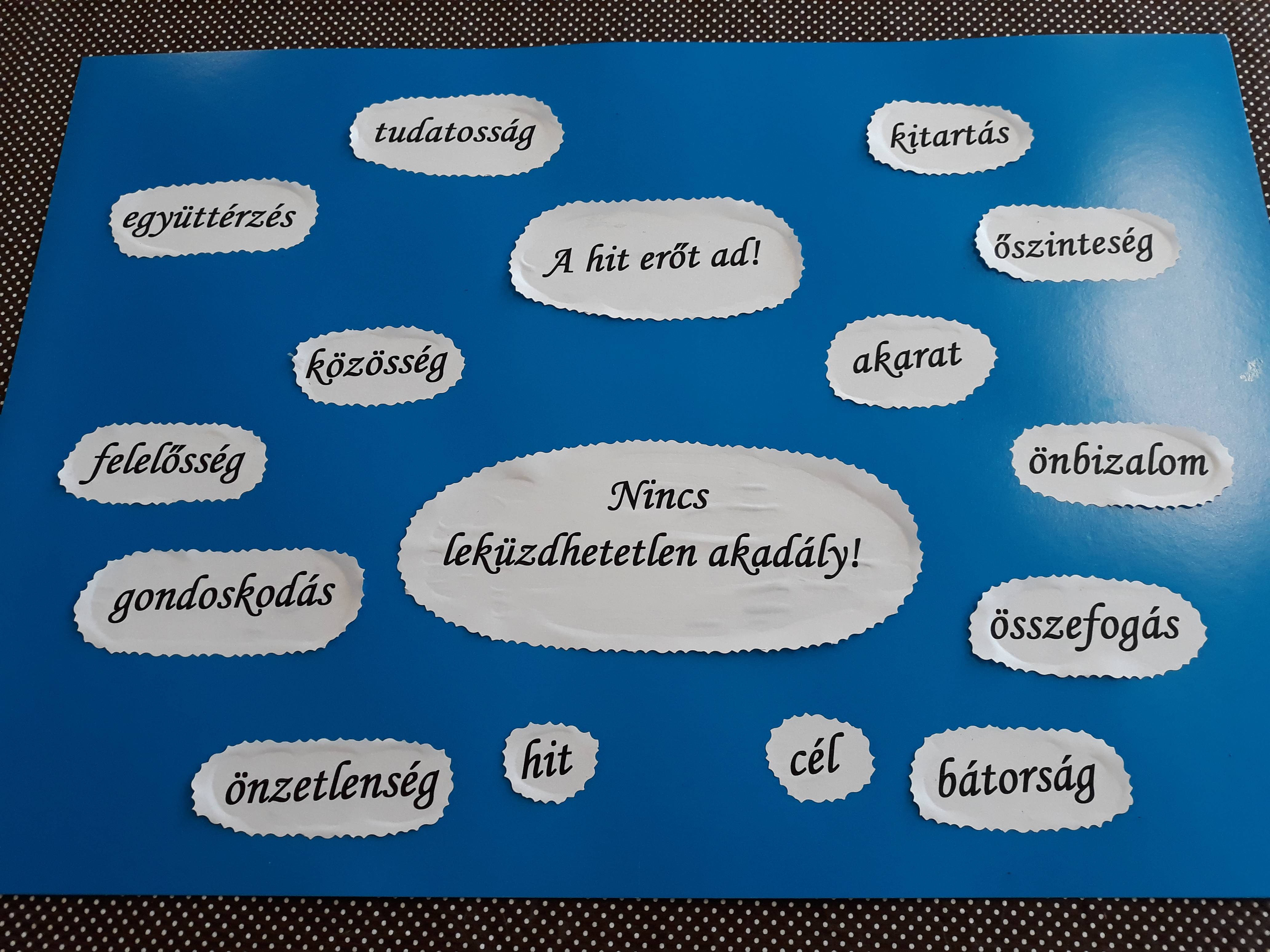 20190225_120333.jpg