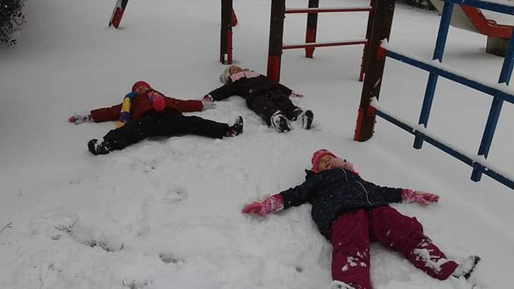 FB_IMG_1549262578598.jpg FB_IMG_1549262578598.jpg