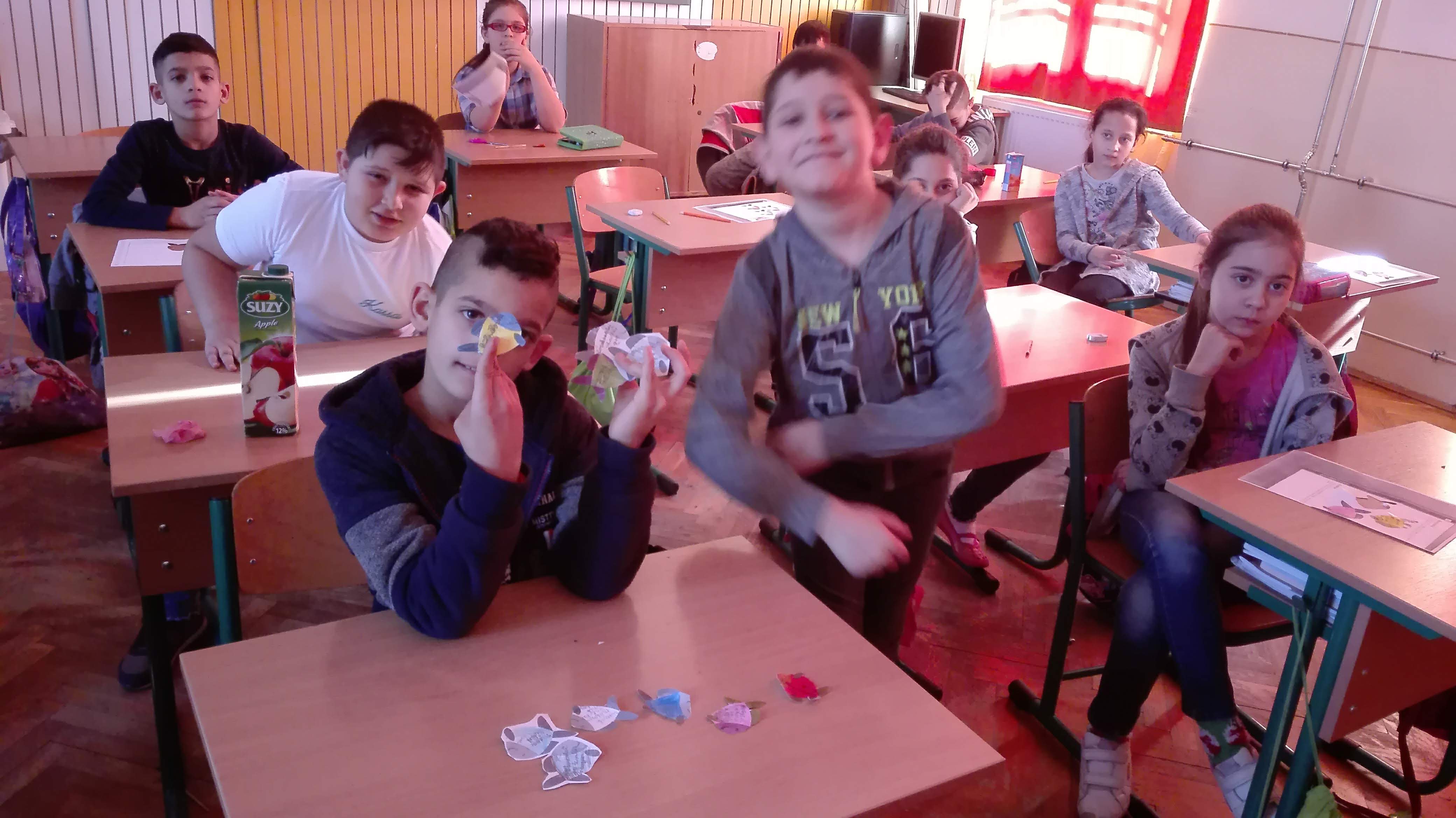 IMG_20190206_115048.jpg