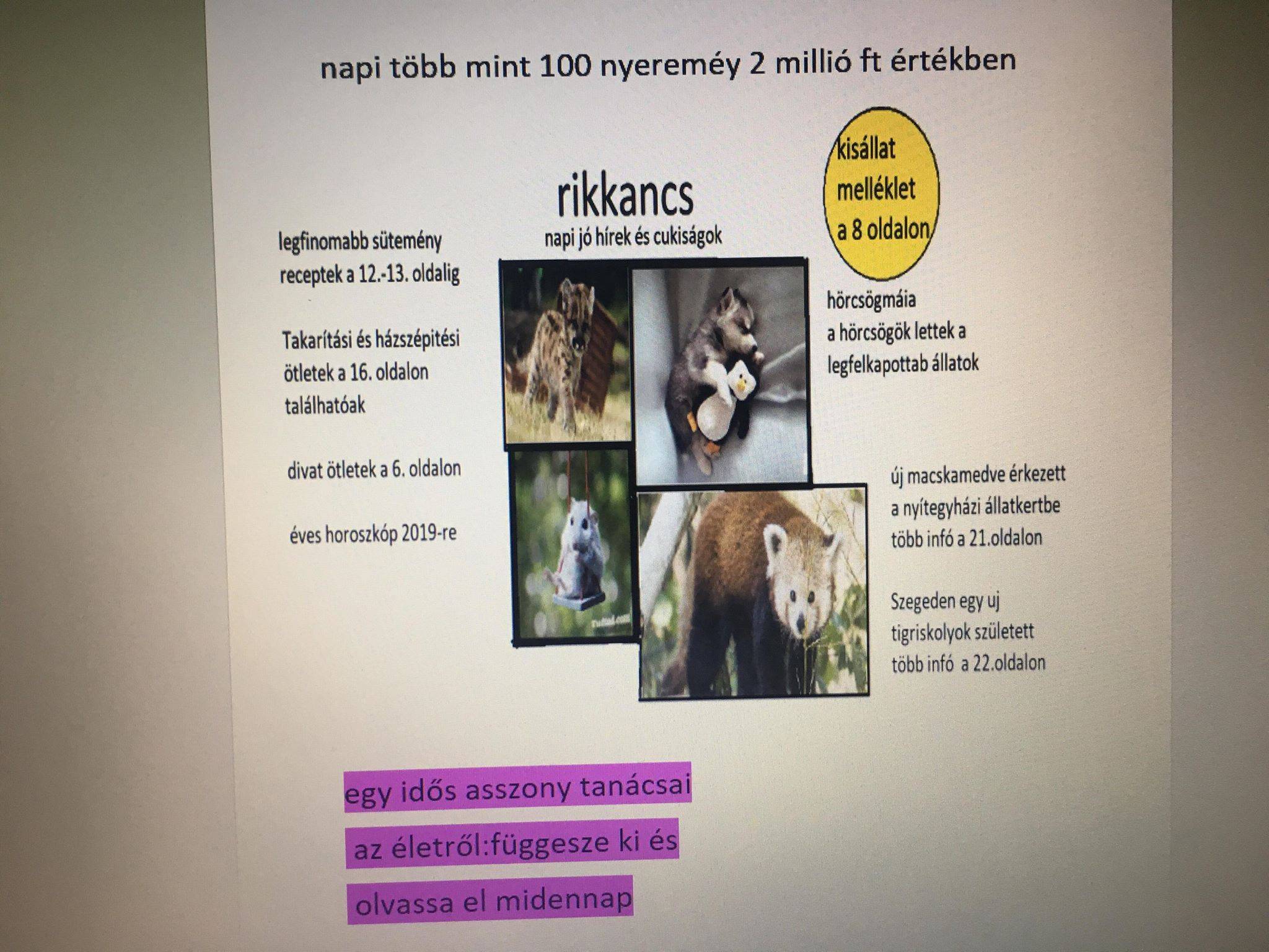 bogi.jpg