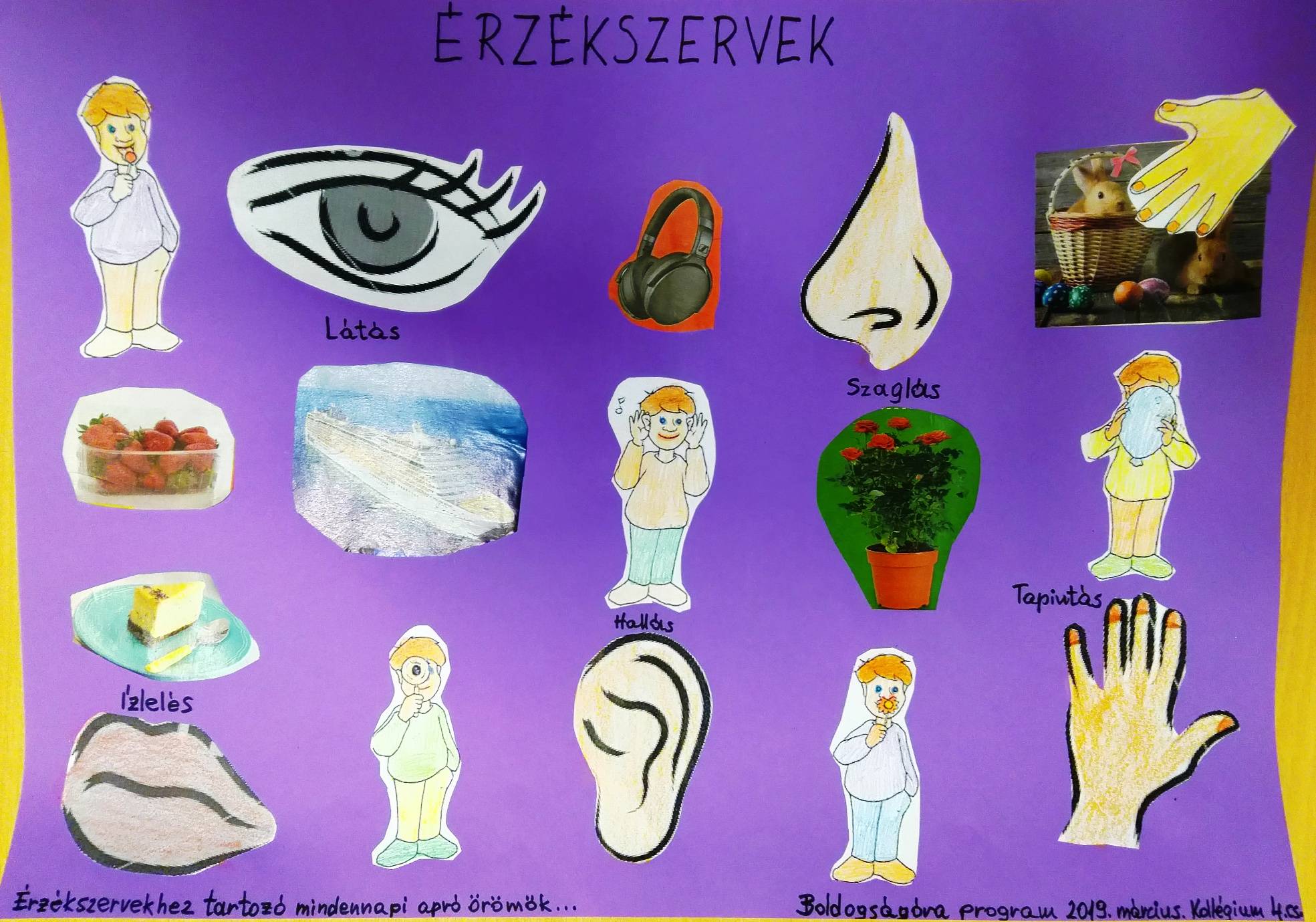 rzékszervek-1.jpg