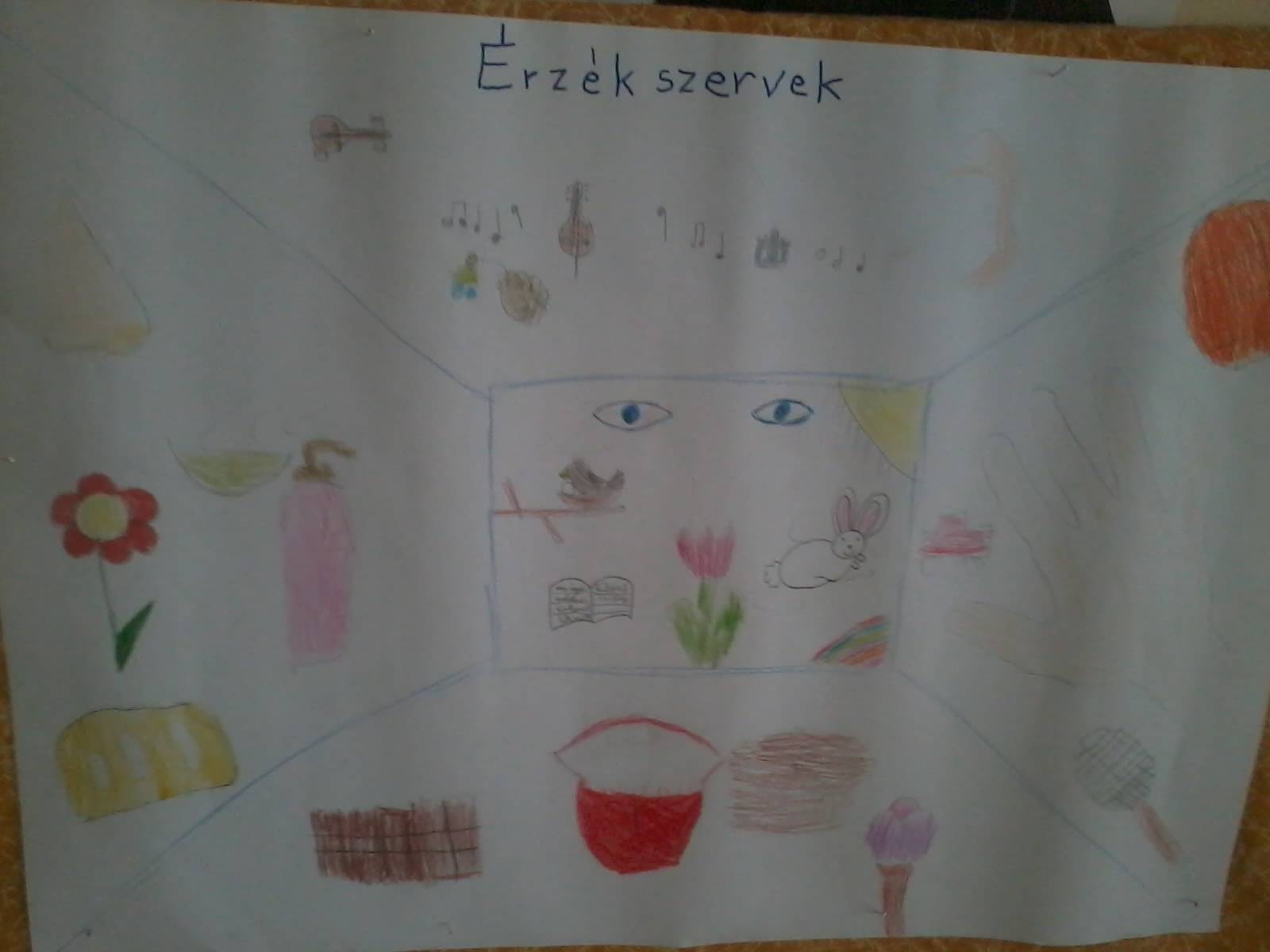 rzékszervek-2.jpg