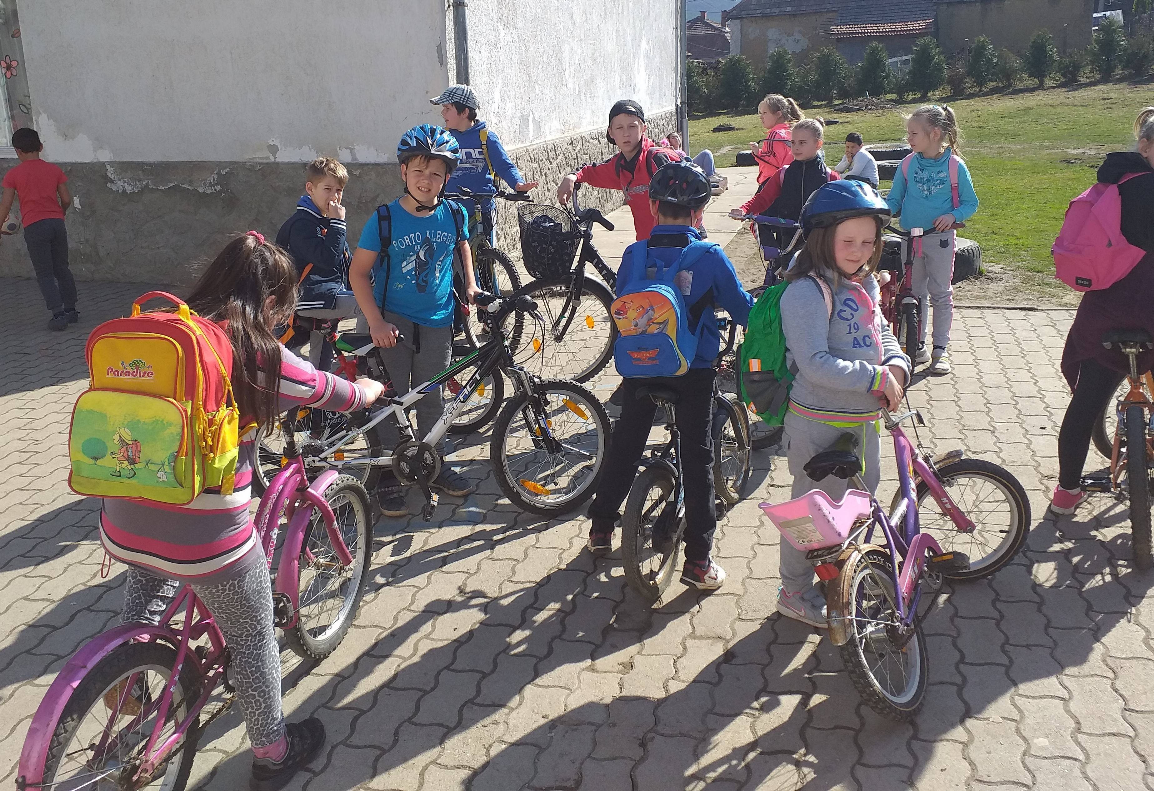 20190322_134526.jpg 20190322_134526.jpg