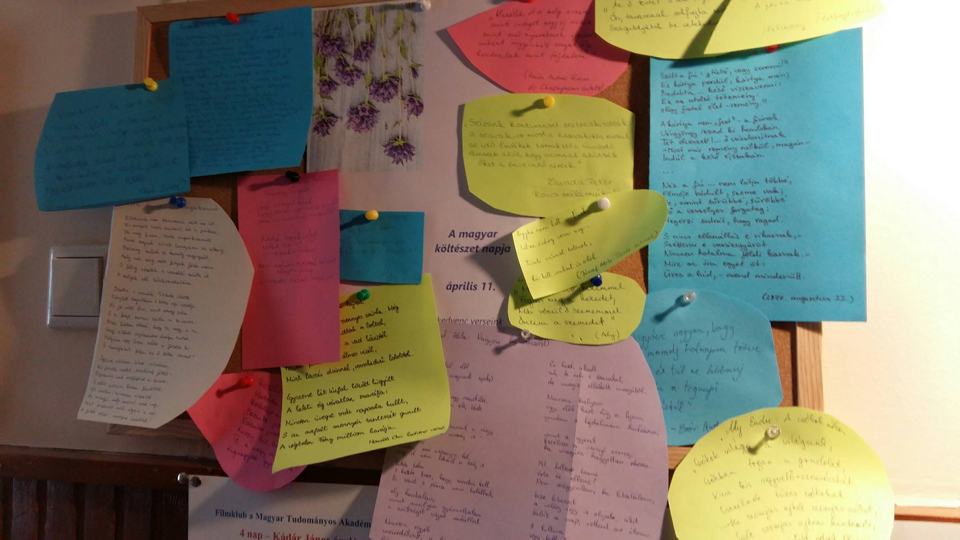 20190415_125827_resized.jpg 20190415_125827_resized.jpg