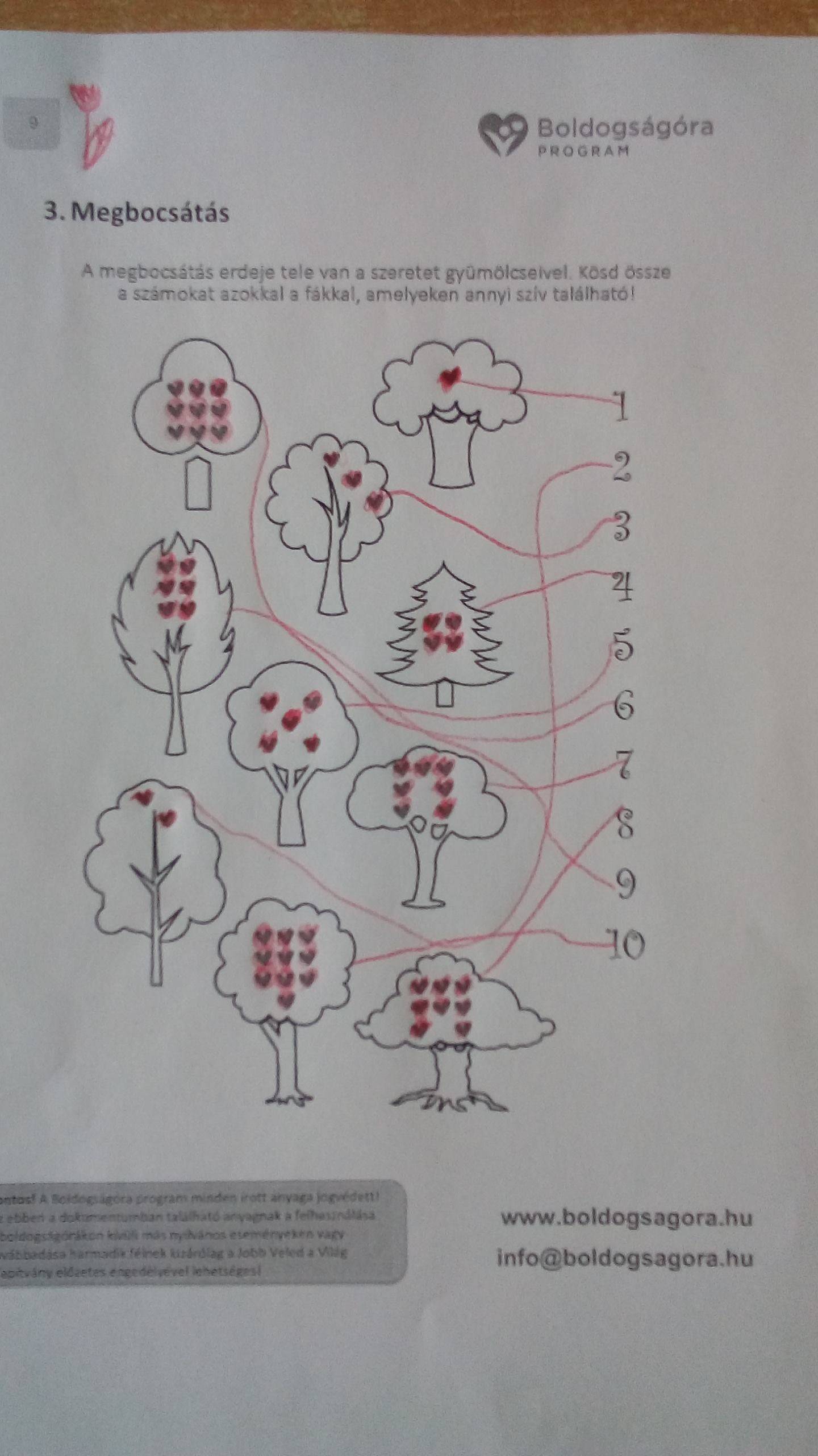 56899498_313086899367037_1283026835780665344_n.jpg