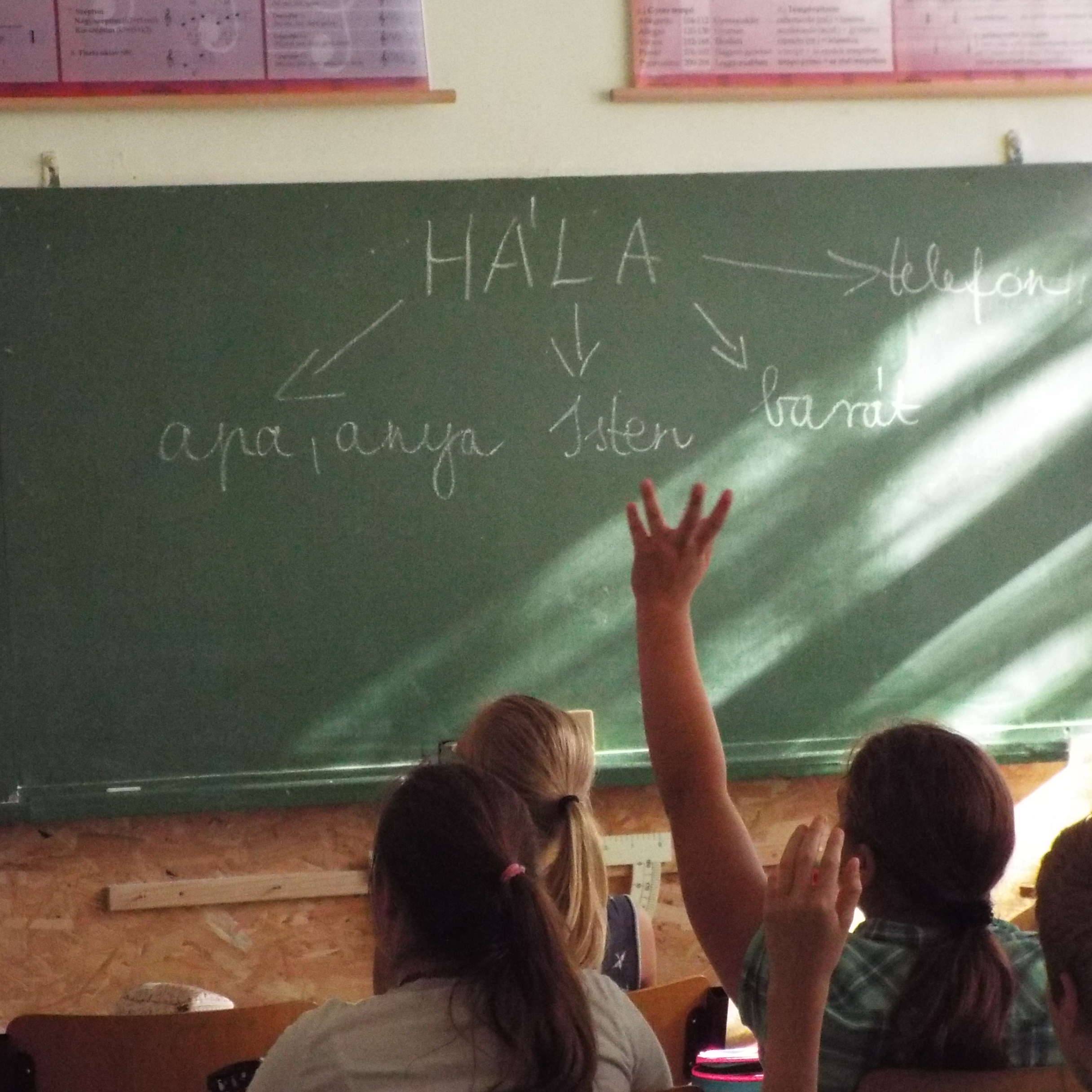 DSCF5380.jpg DSCF5380.jpg