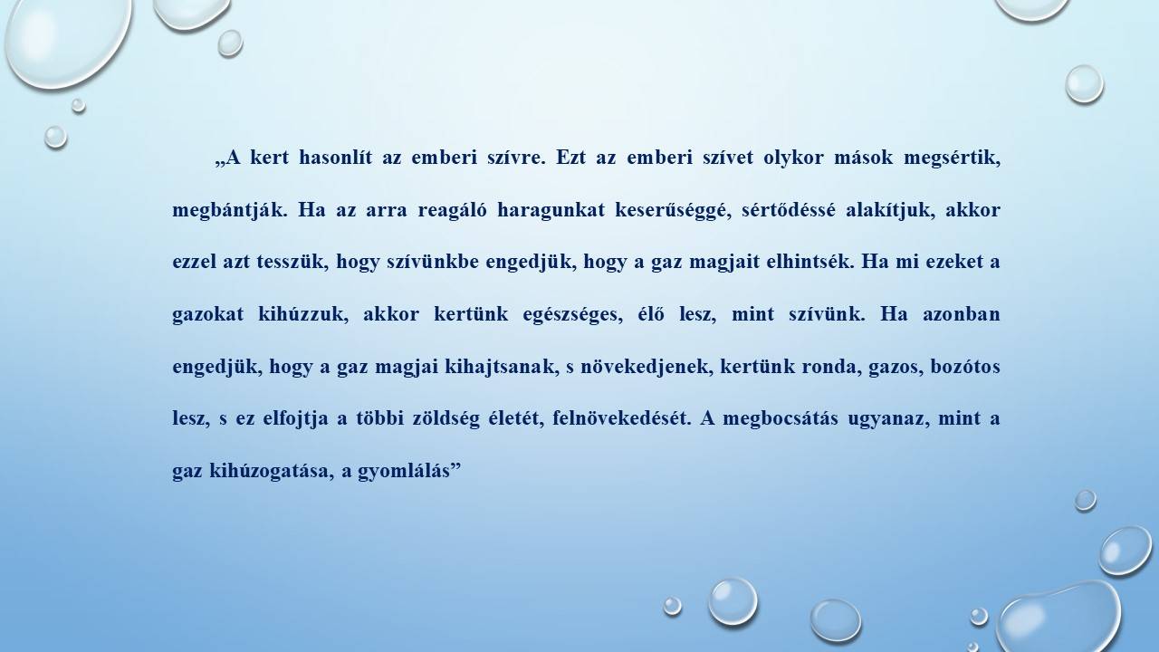 Dia1-3.jpg Dia1-3.jpg