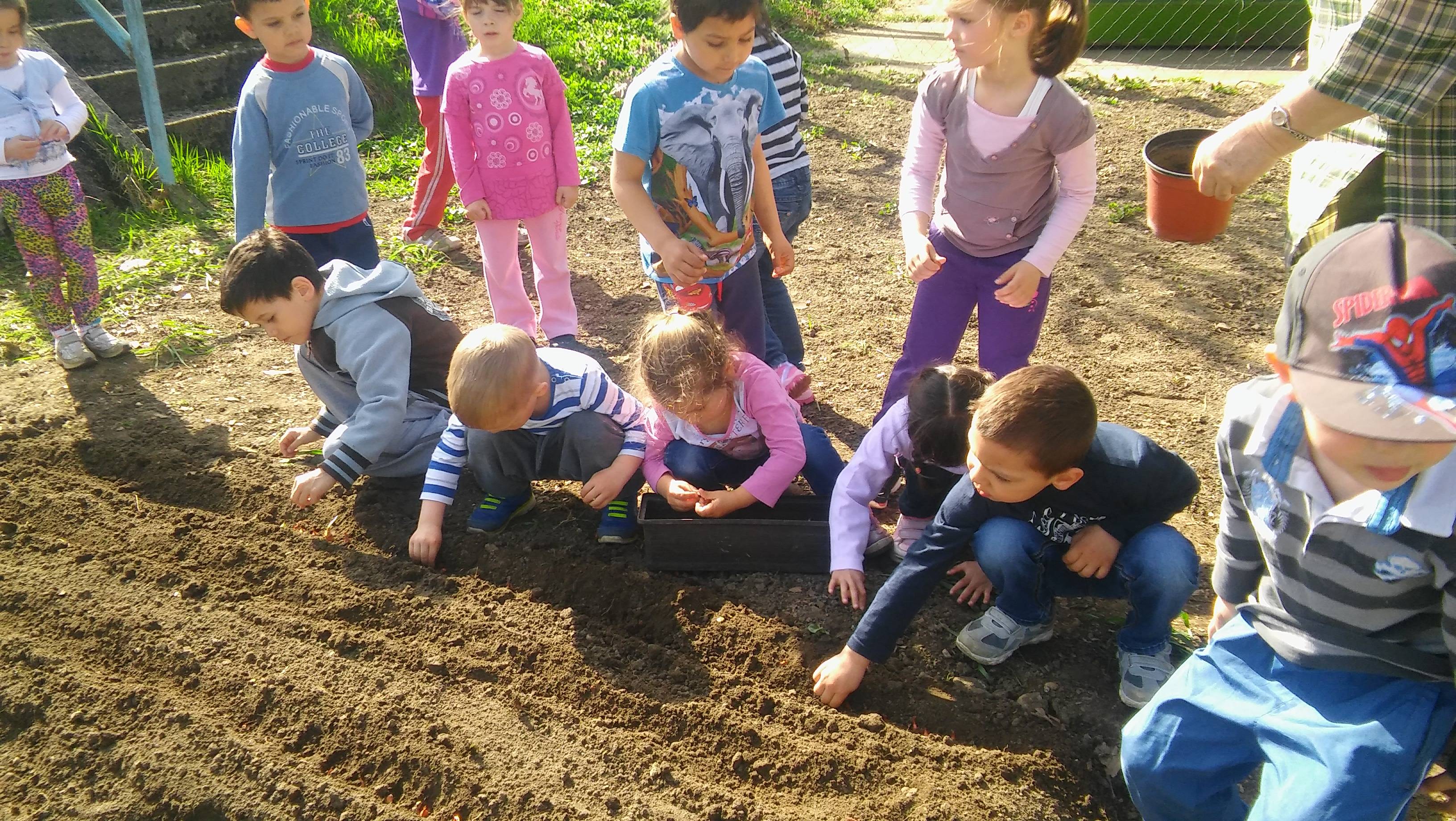 Munkák-a-kis-kertben-1..jpg