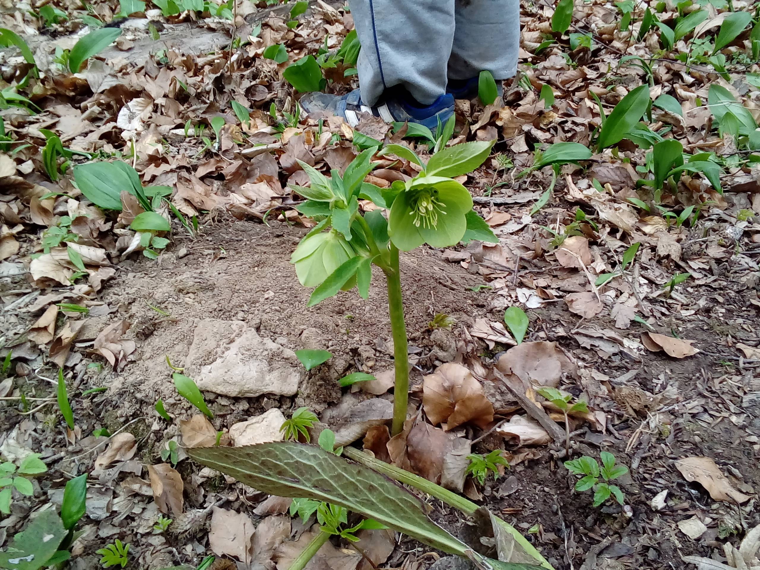 20190308_102208.jpg