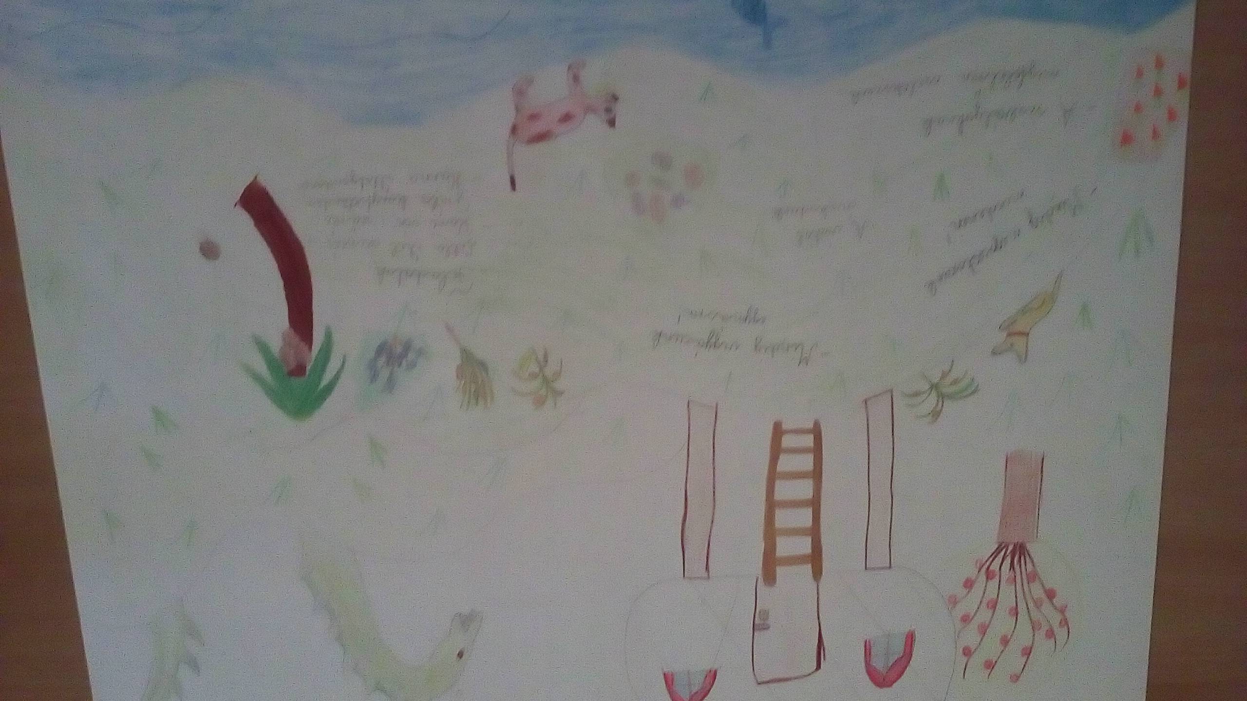 20190614_134951.jpg 20190614_134951.jpg