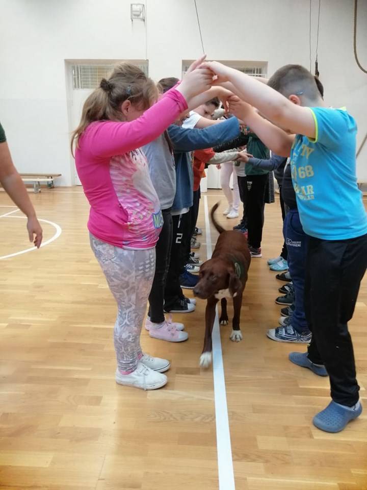 61519293_2446503422264618_7185835888025272320_n.jpg 61519293_2446503422264618_7185835888025272320_n.jpg