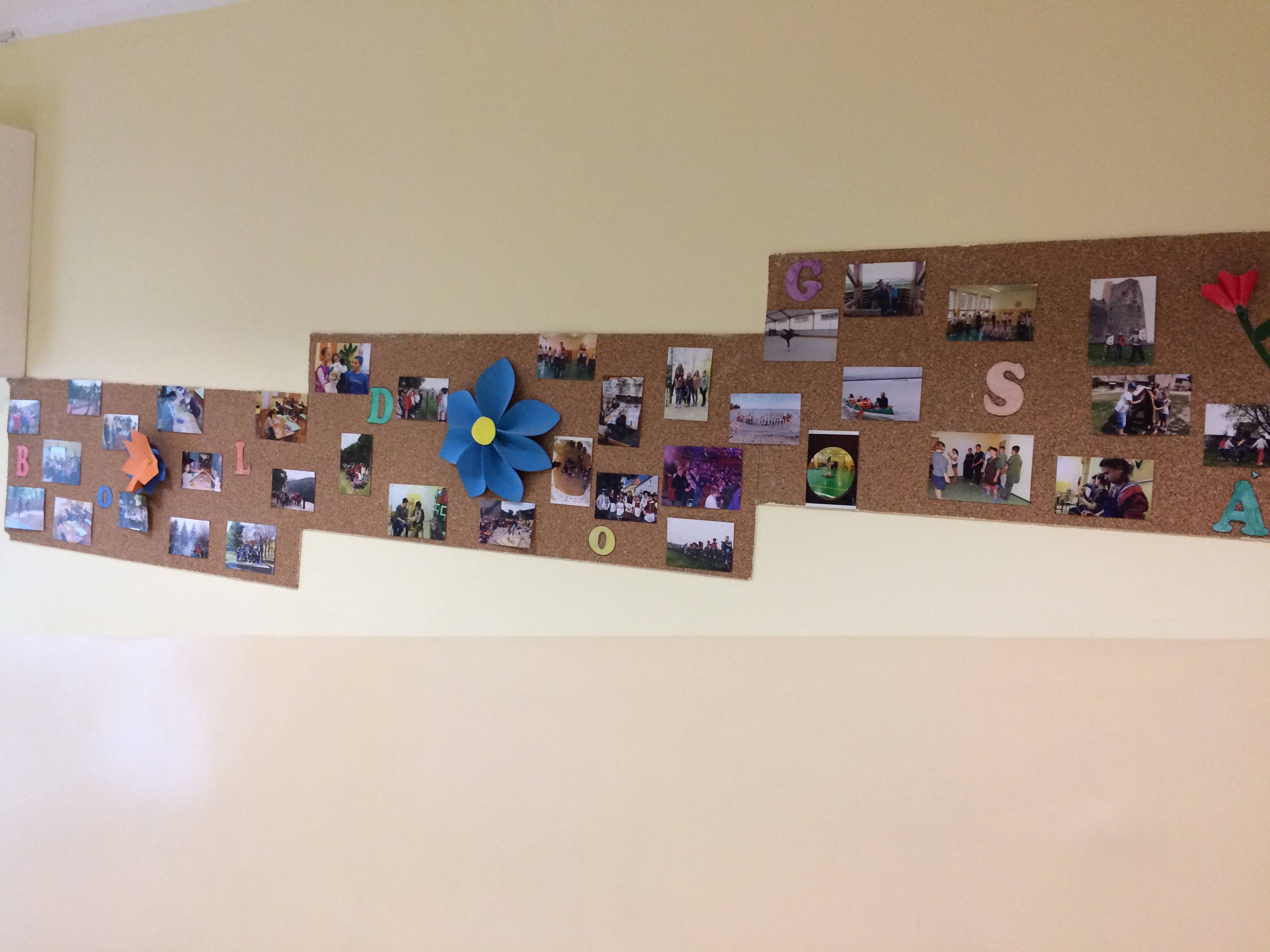 IMG_06001.jpg IMG_06001.jpg