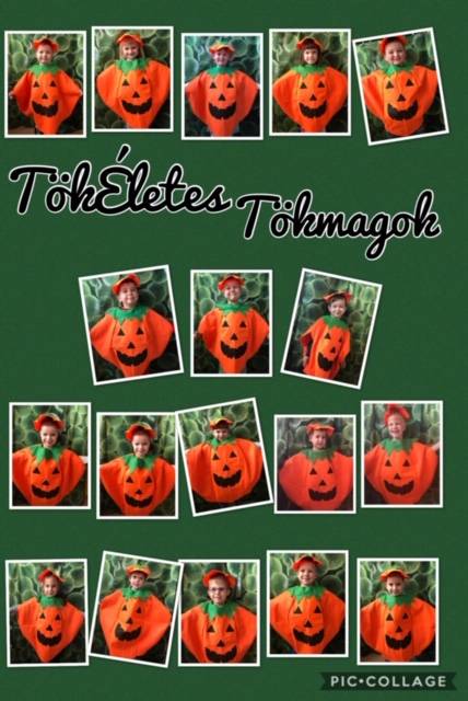 IMG_1390.jpg IMG_1390.jpg