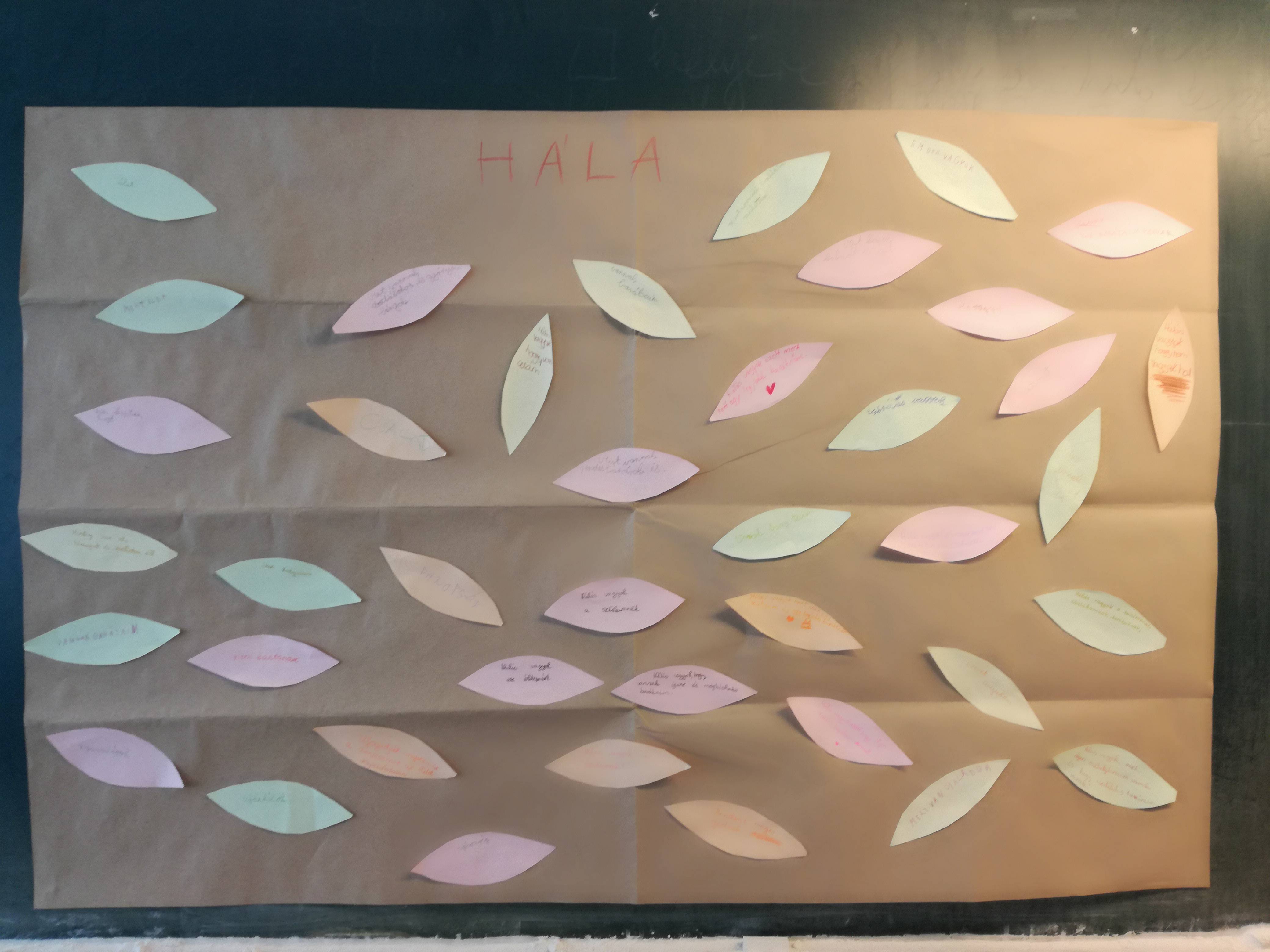 IMG_20181024_131728.jpg IMG_20181024_131728.jpg