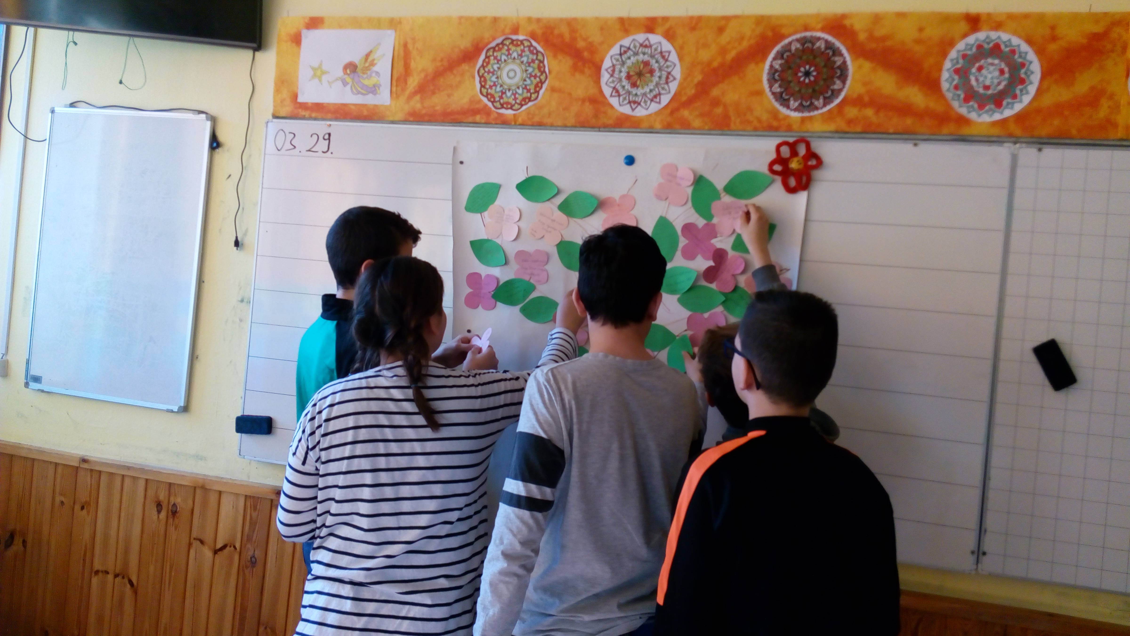 IMG_20190329_082326.jpg IMG_20190329_082326.jpg