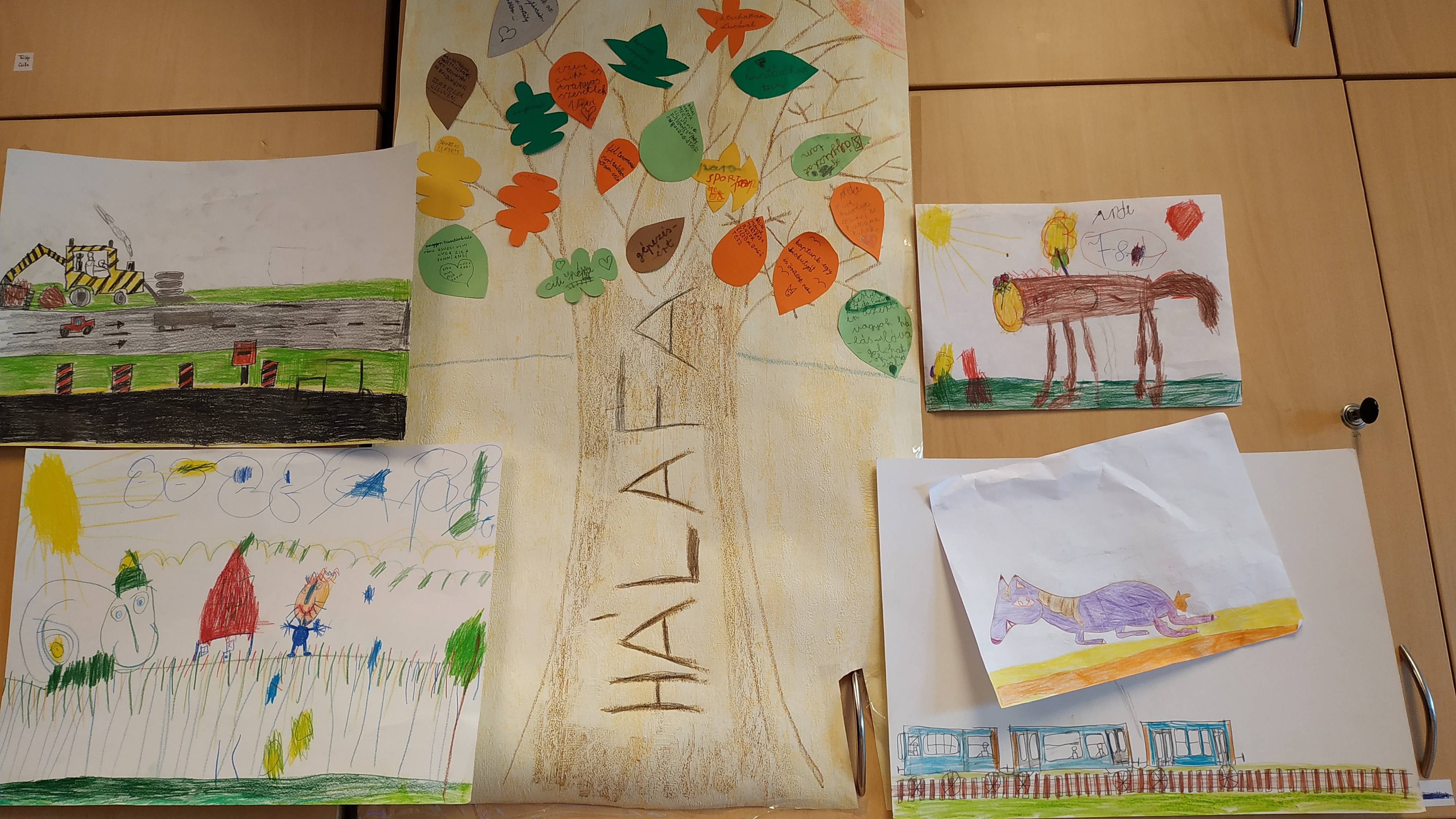 IMG_20190612_112358.jpg IMG_20190612_112358.jpg