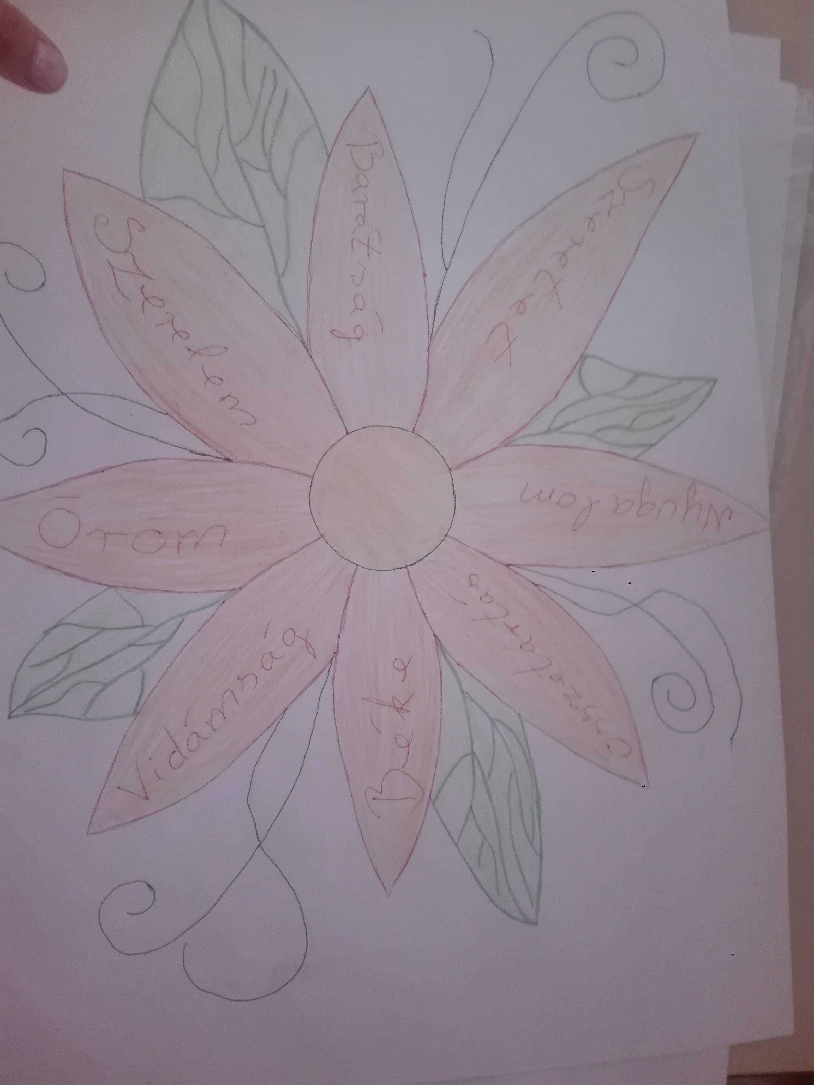 IMG_20190612_125653.jpg IMG_20190612_125653.jpg