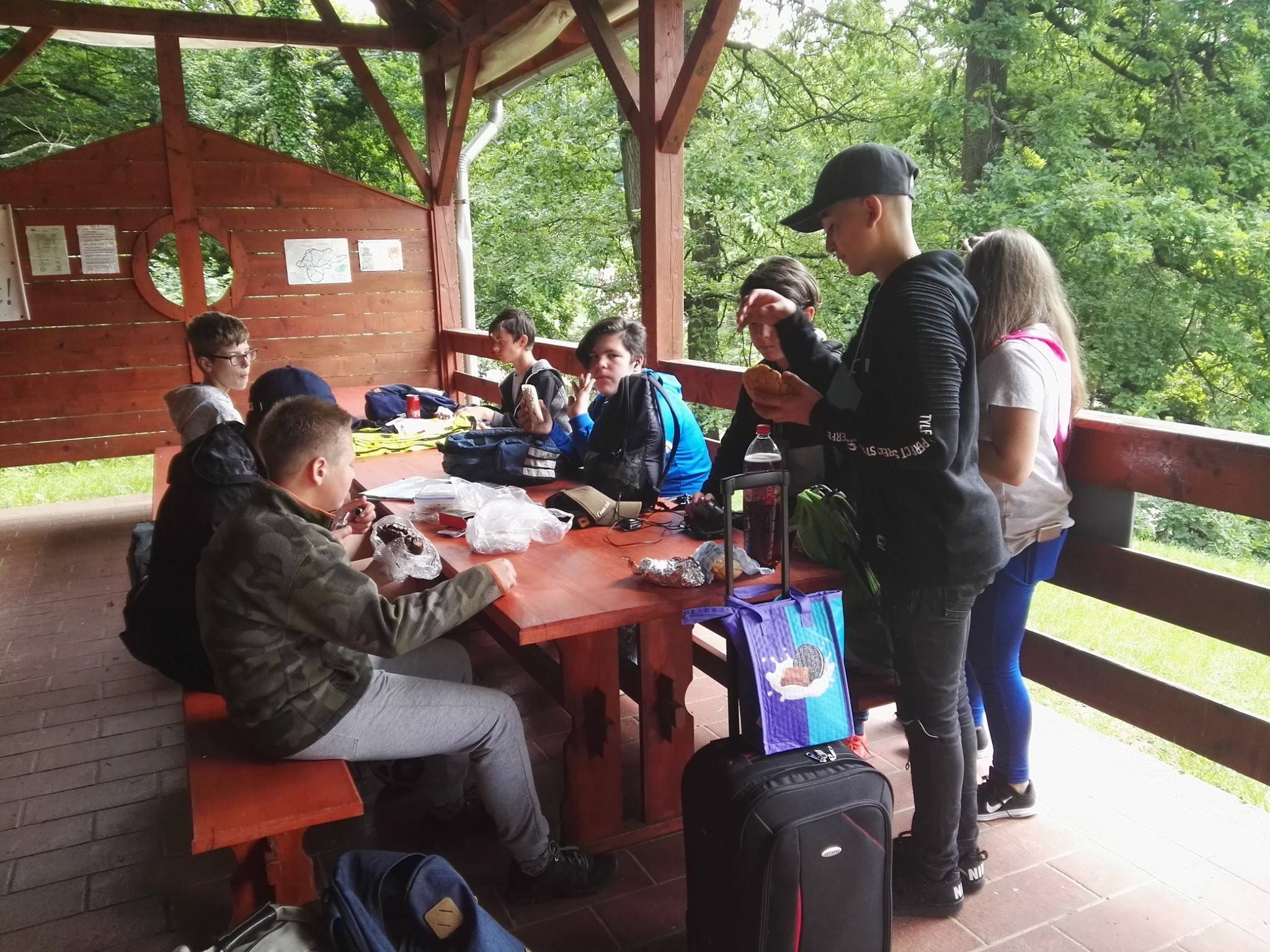 erdei-1.jpg erdei-1.jpg